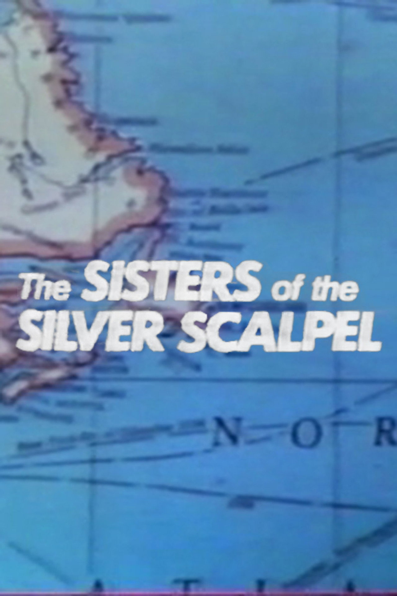 Pôster de Sisters of the Silver Scalpel