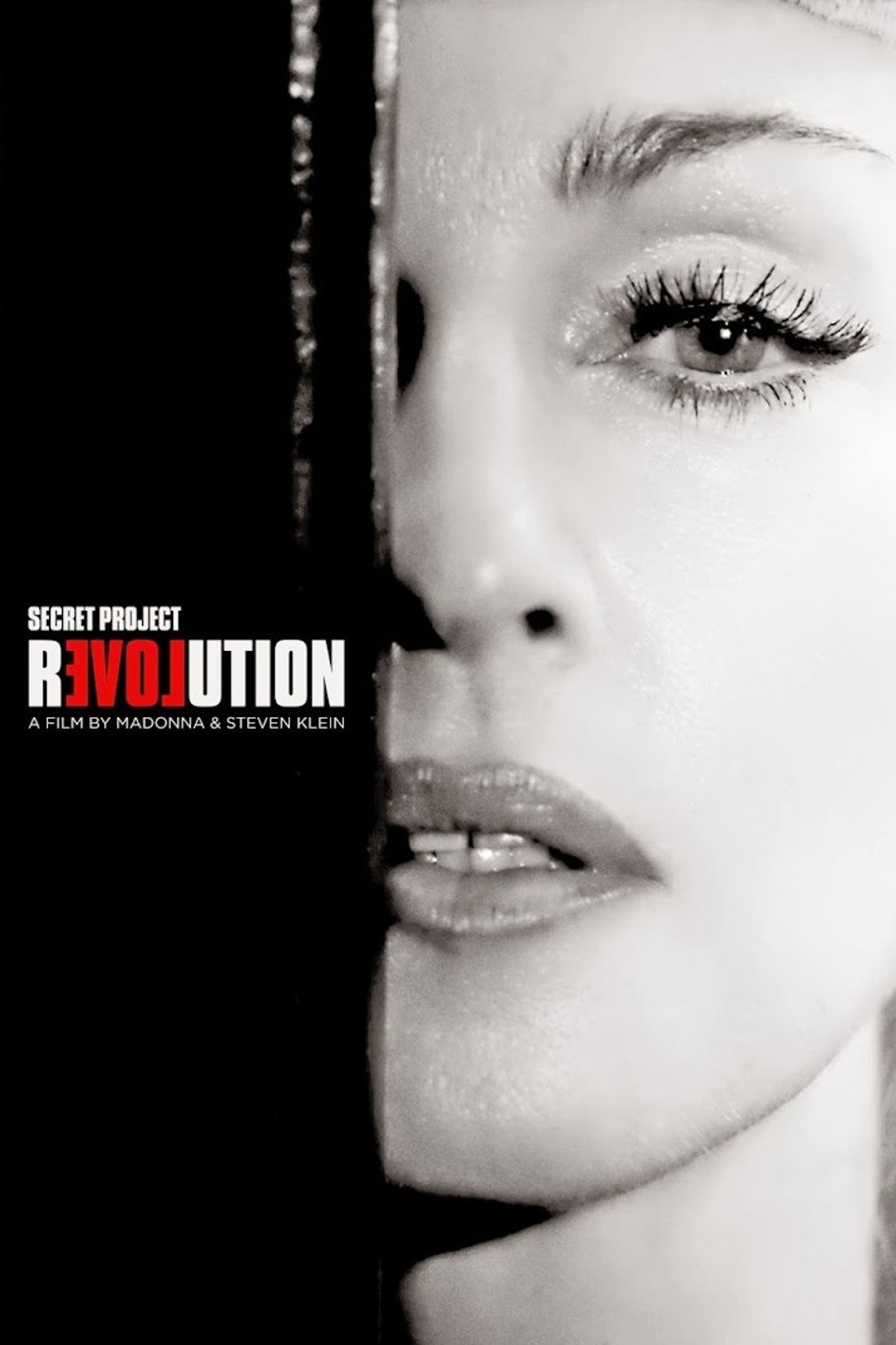 Pôster de Secret Project Revolution