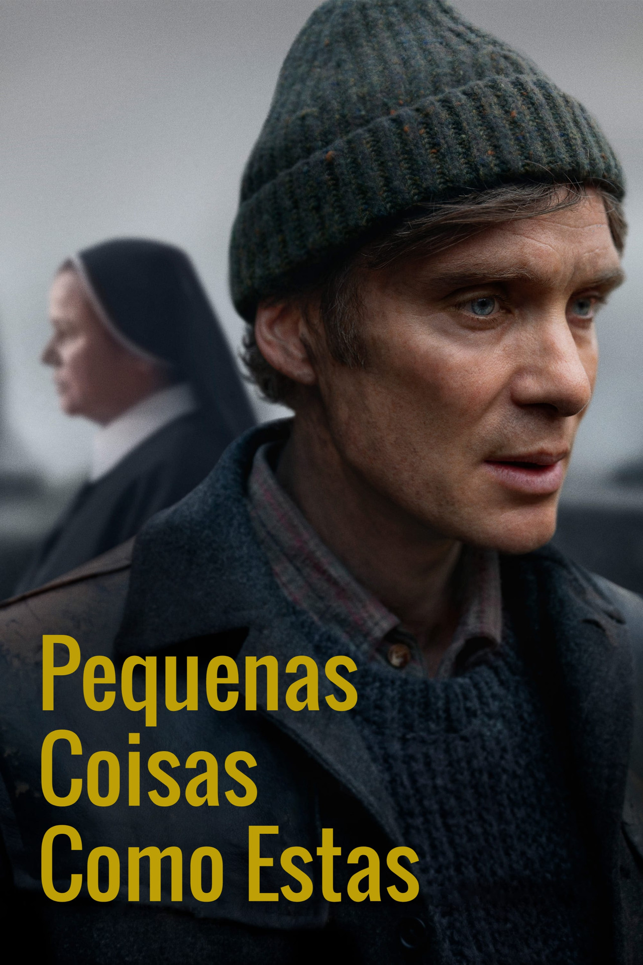 Pôster de Pequenas Coisas Como Estas