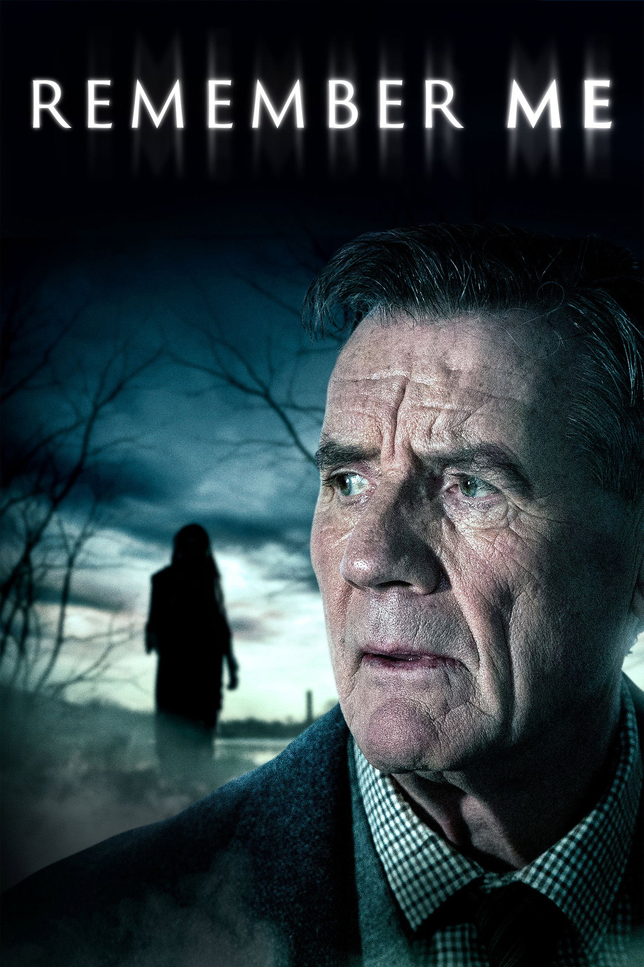 Pôster de Remember Me