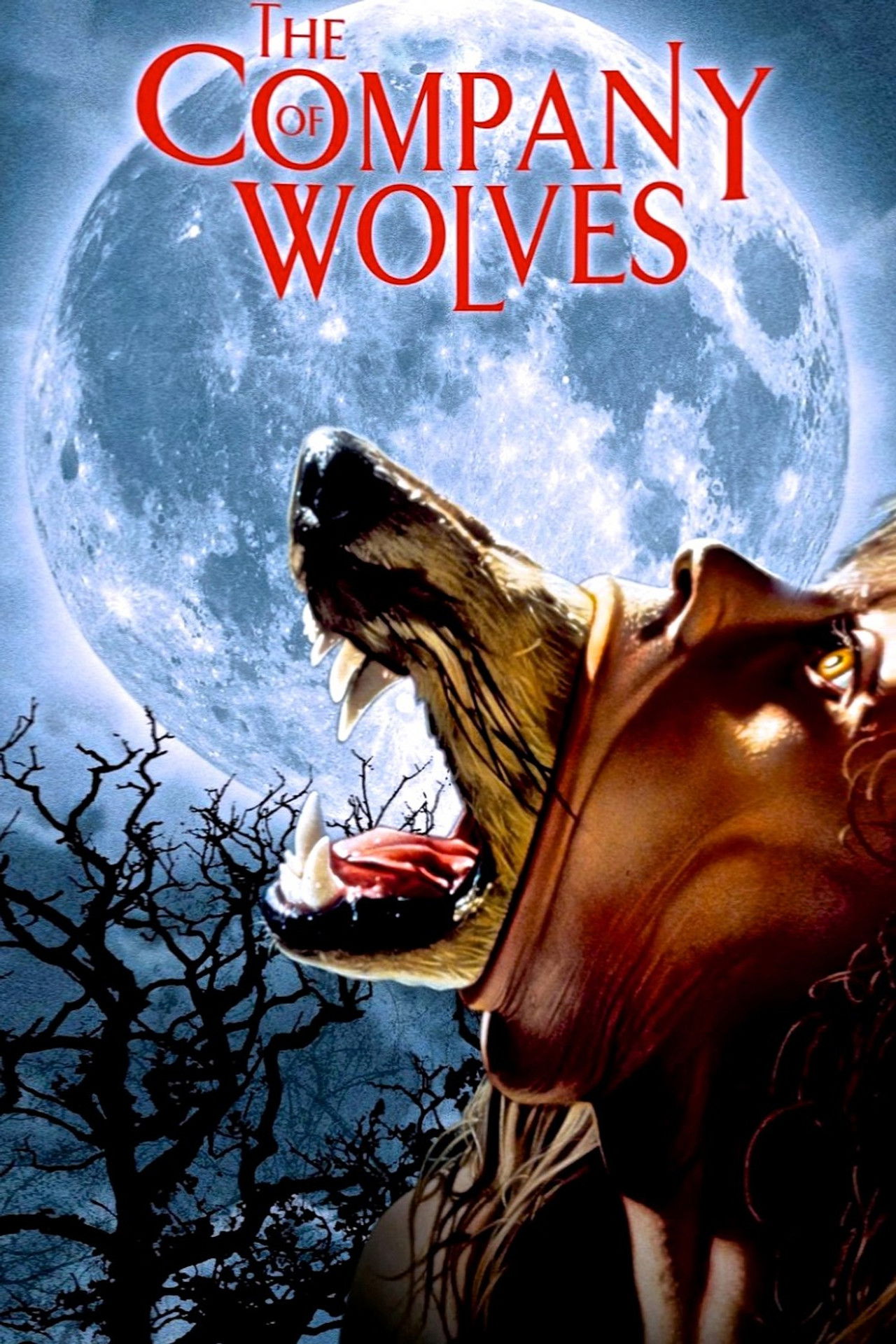 Pôster de The Company of Wolves