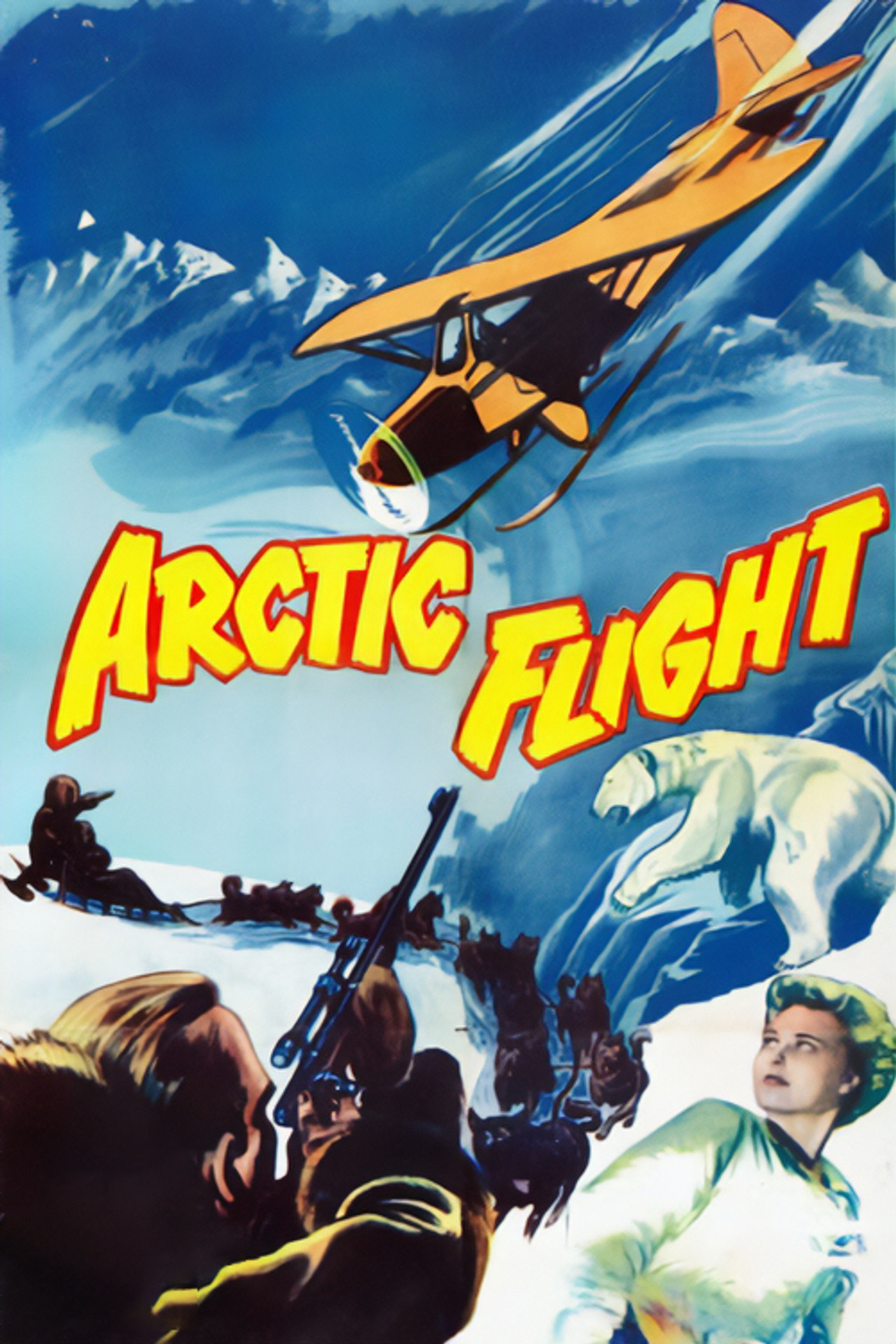 Pôster de Arctic Flight