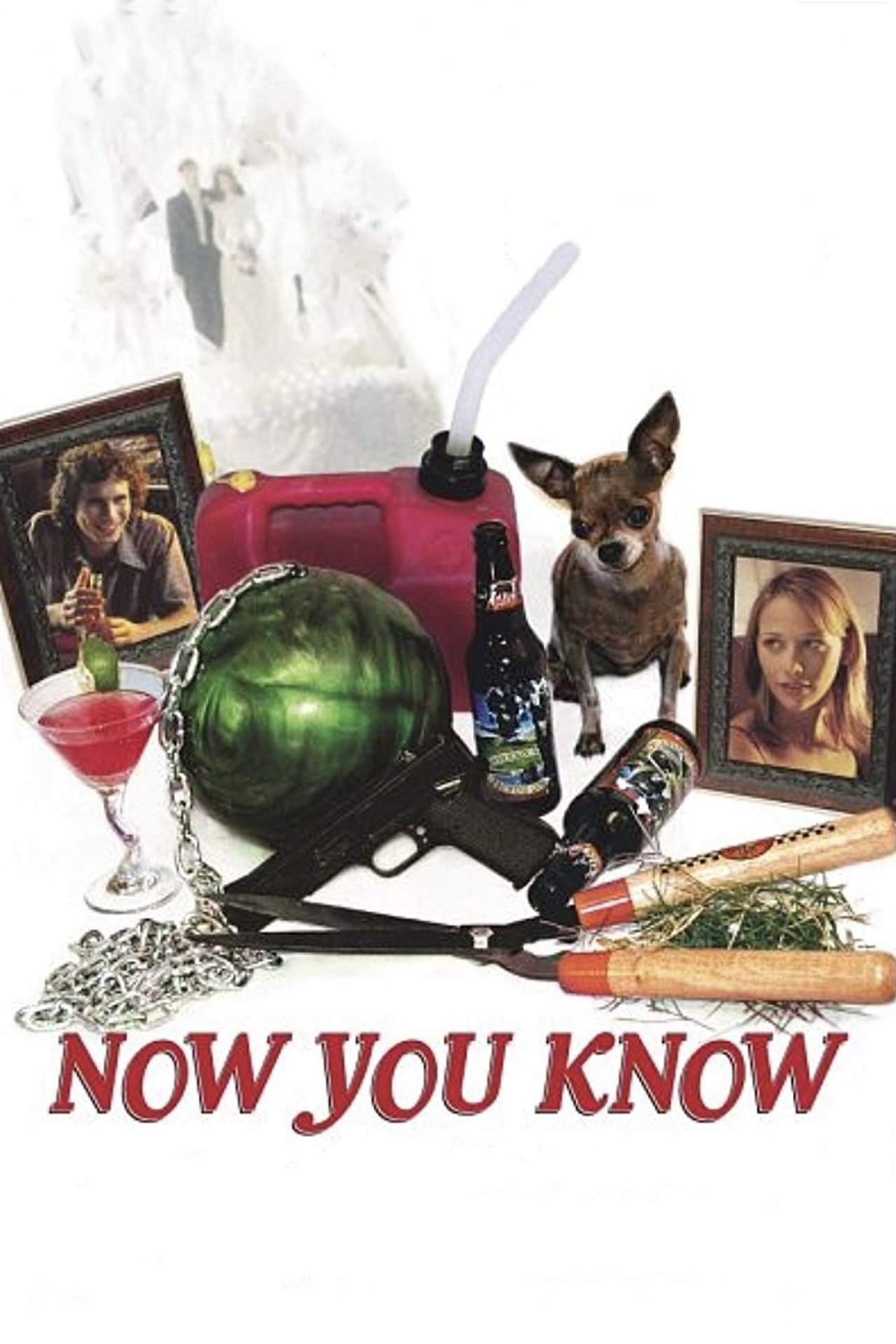 Pôster de Now You Know