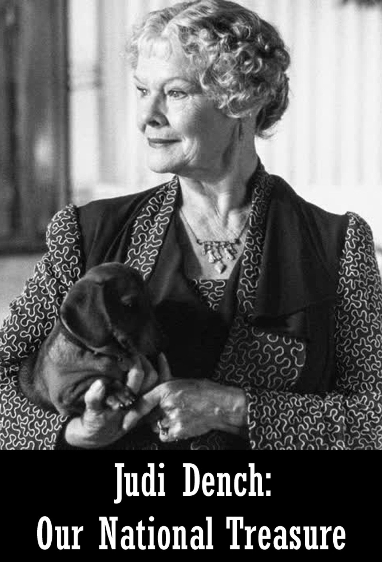 Pôster de Judi Dench: Our National Treasure