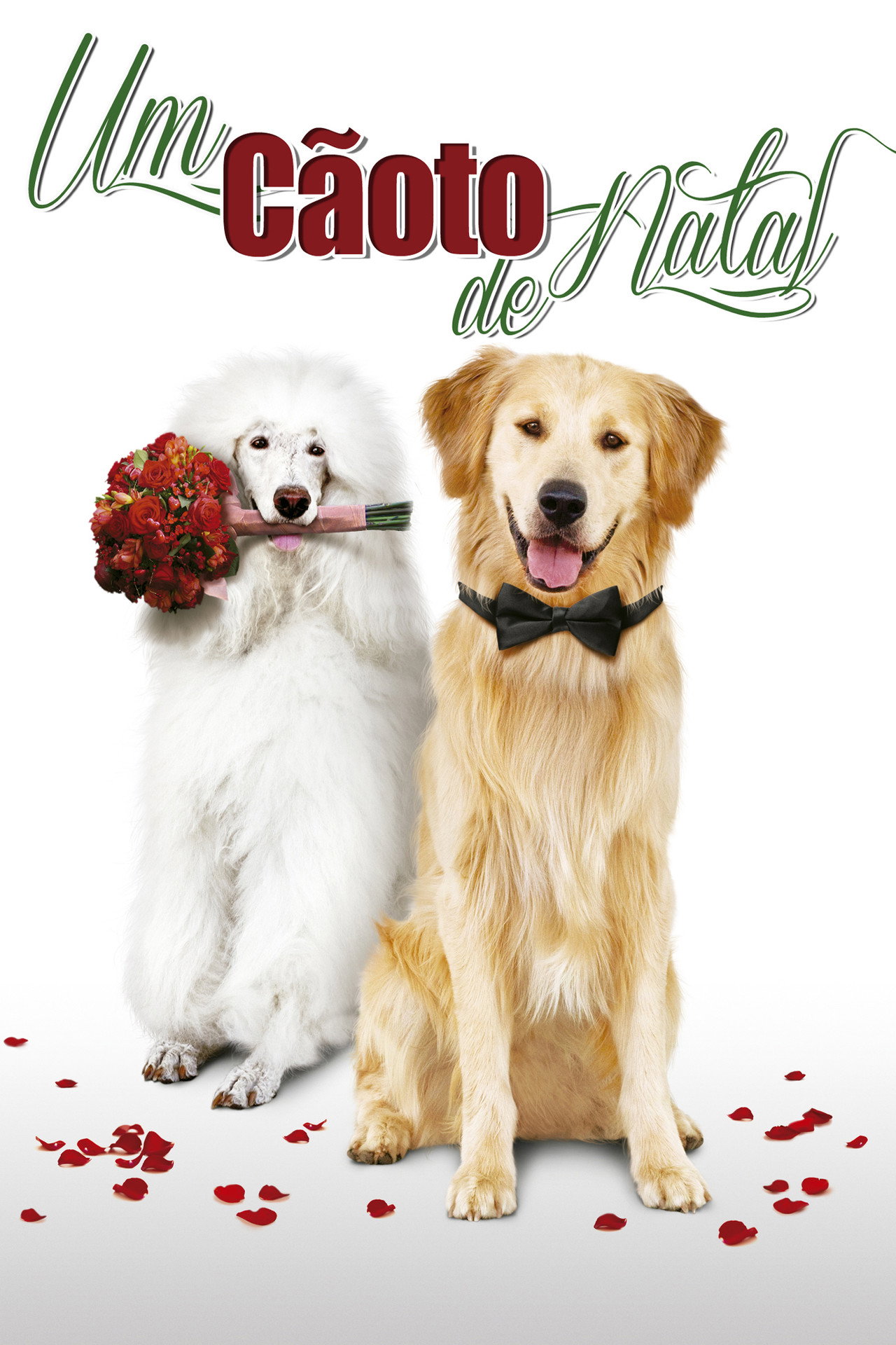Pôster de Um Cãoto de Natal