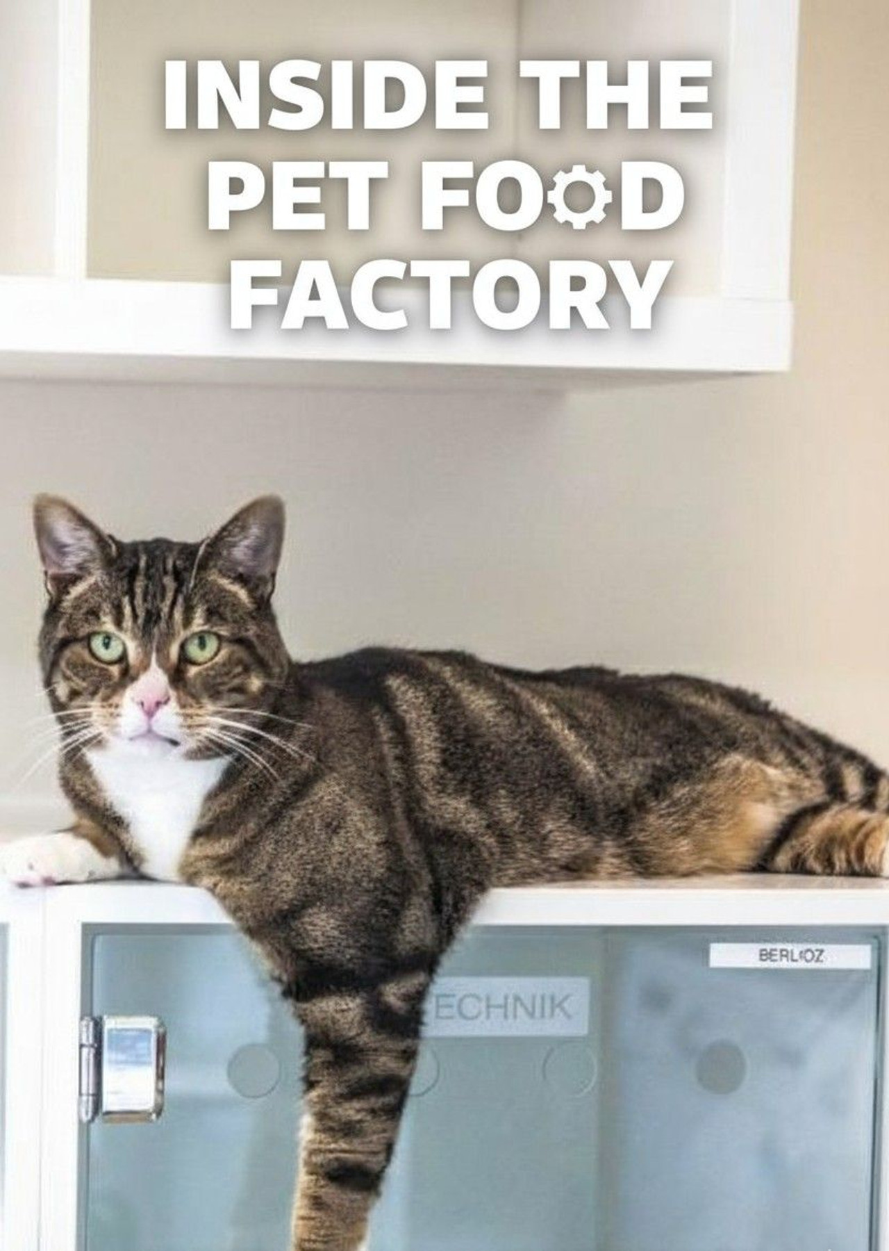 Pôster de Inside the Pet Food Factory