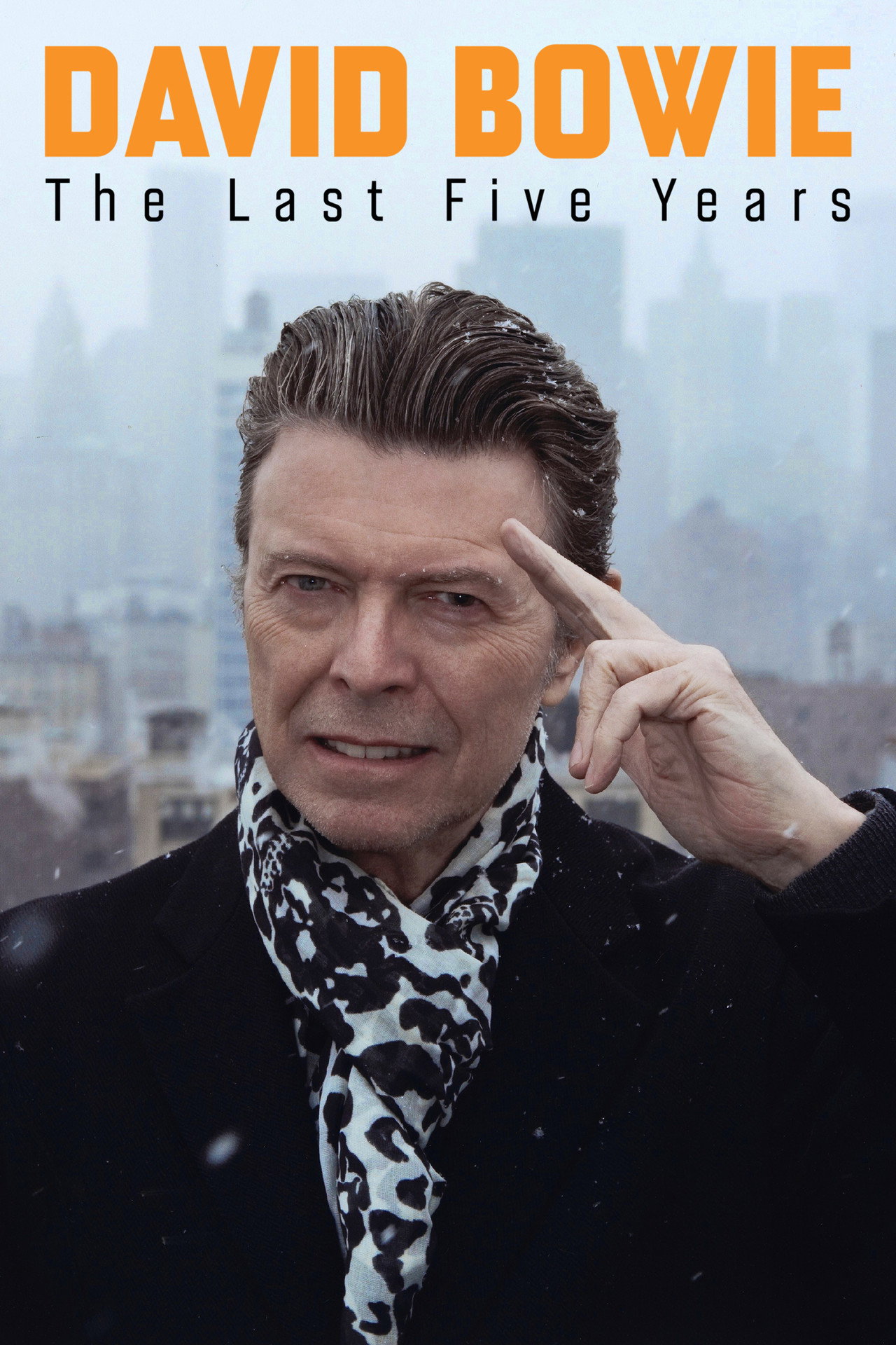 Pôster de David Bowie: Os Últimos Cinco Anos