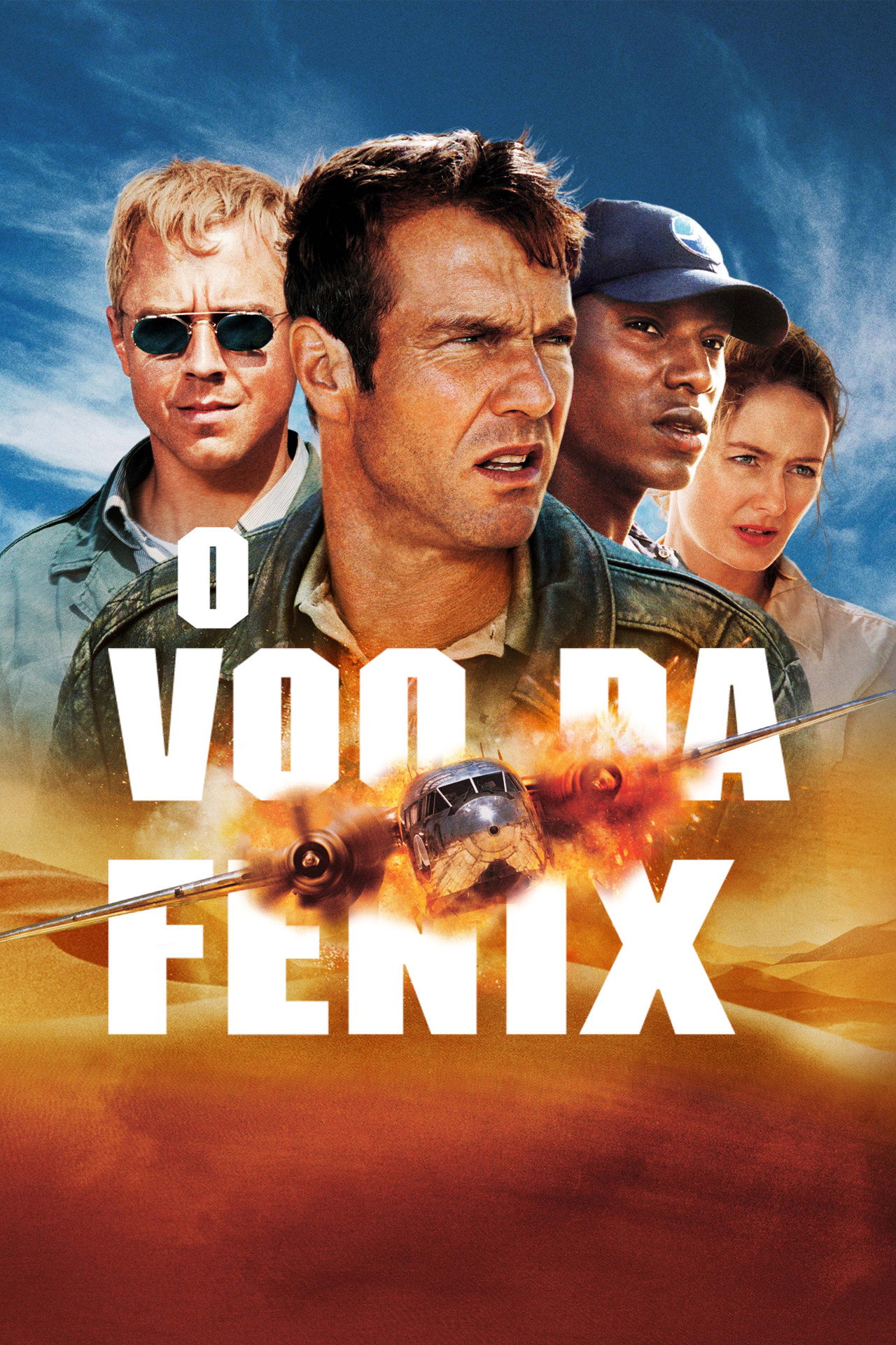 Pôster de O Voo da Fênix