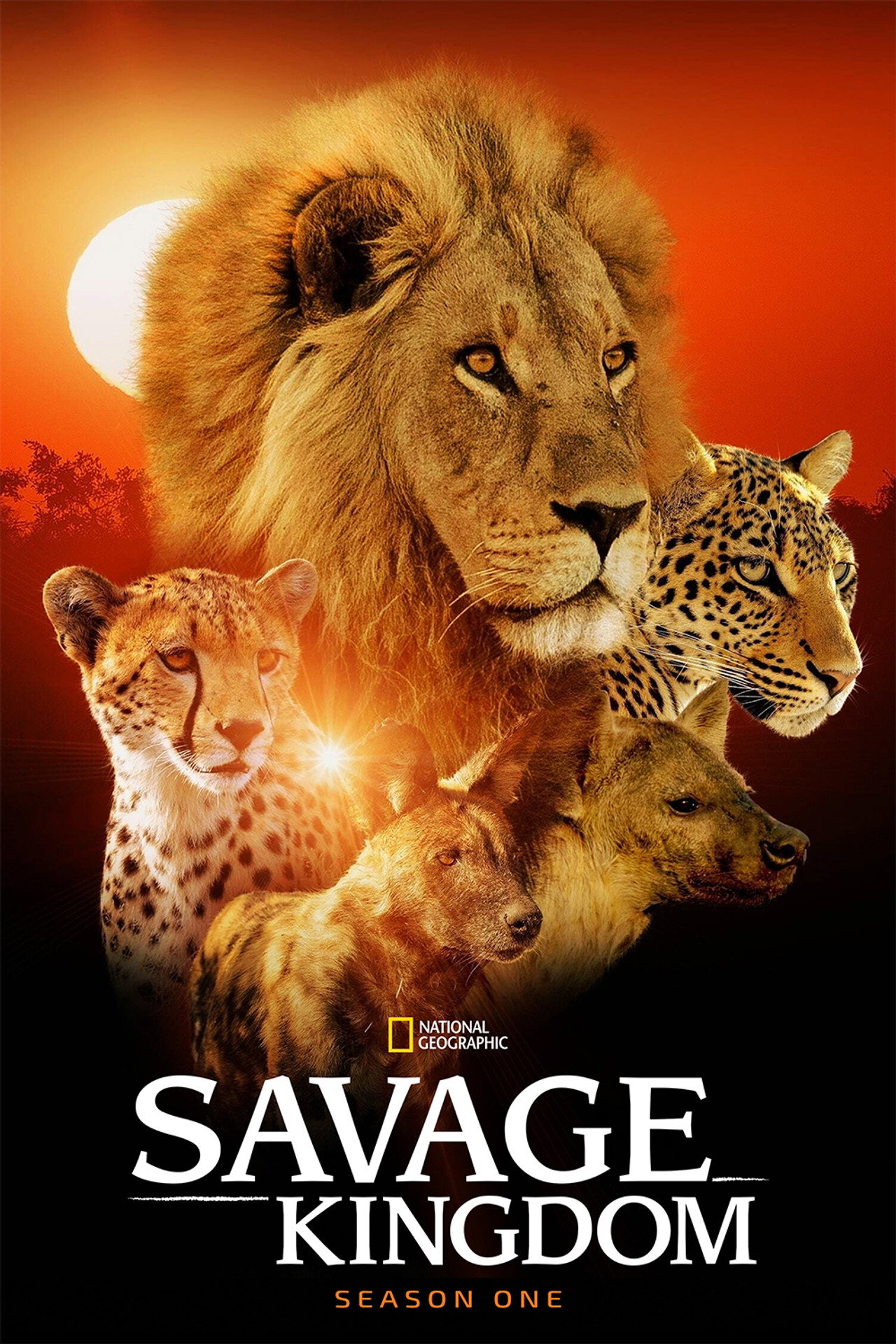 Pôster de Savage Kingdom