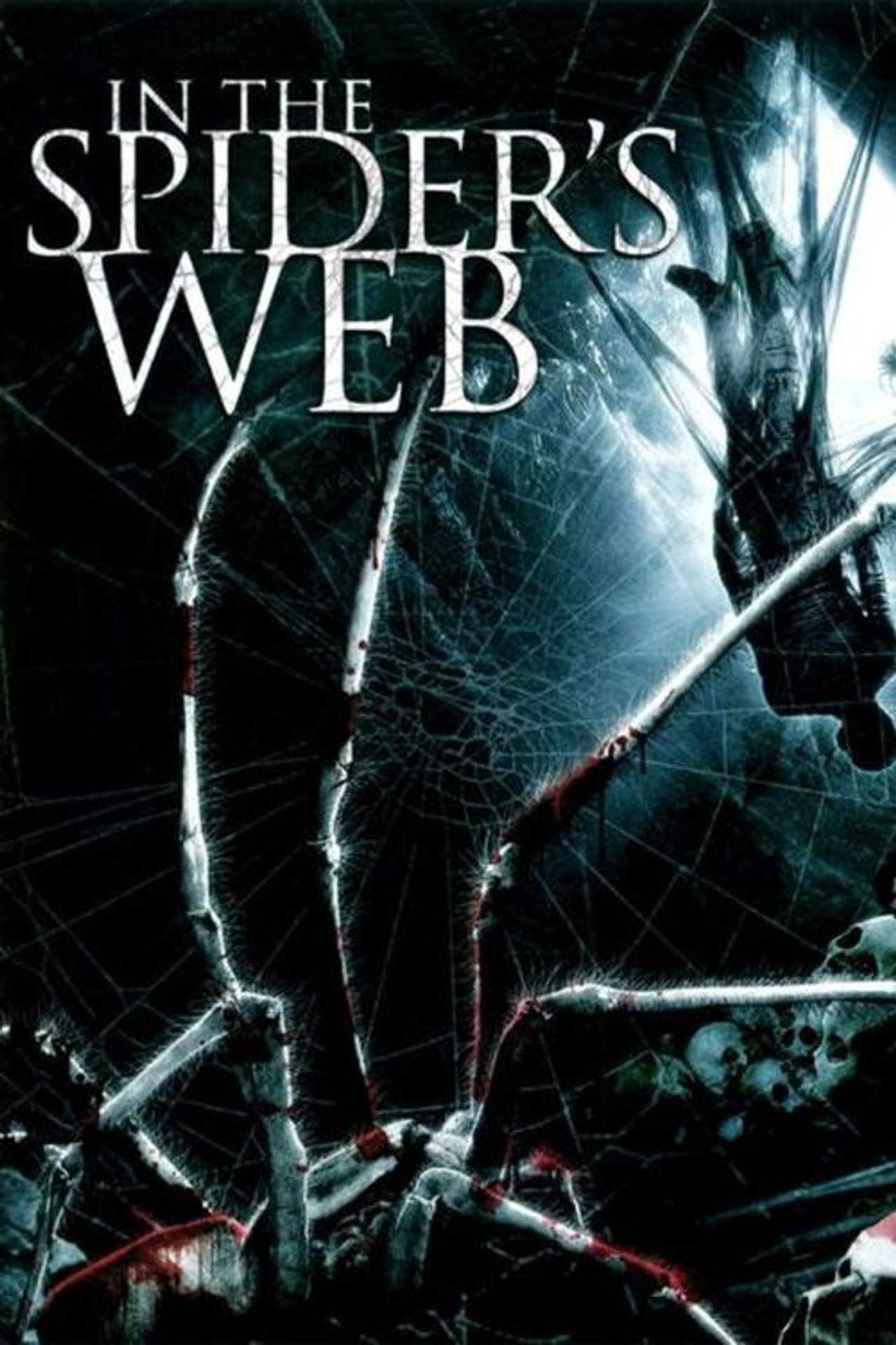 Pôster de In the Spider's Web