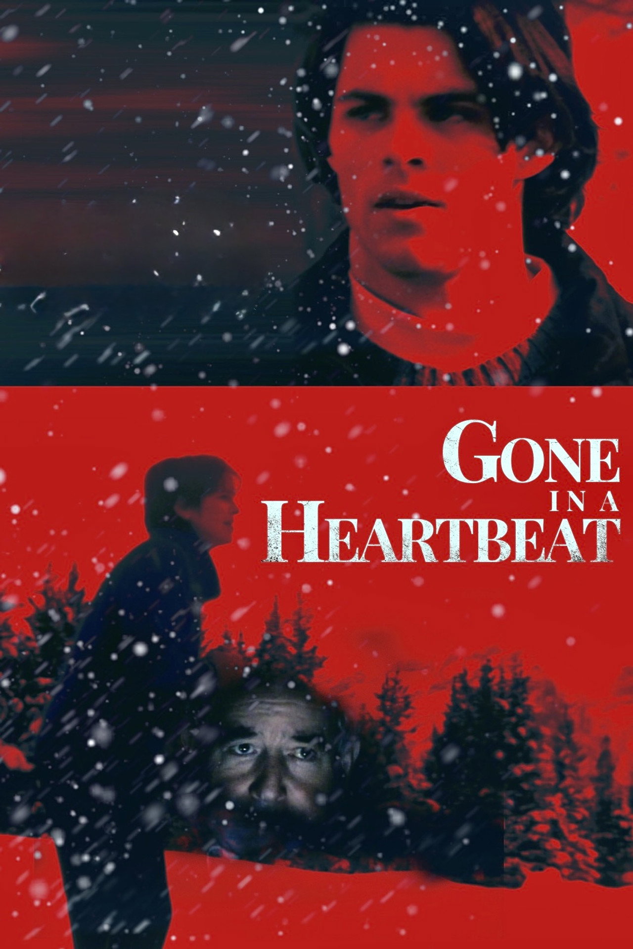 Pôster de Gone in a Heartbeat