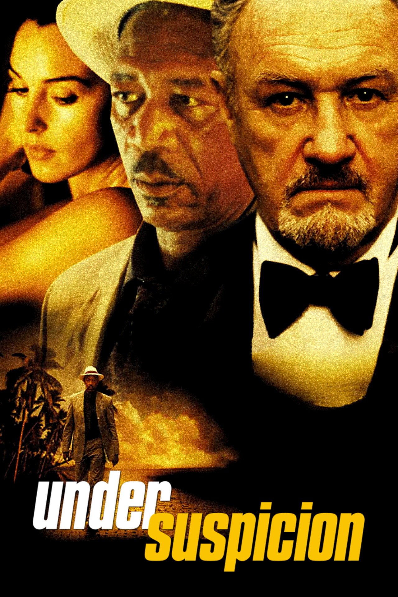 Pôster de Under Suspicion