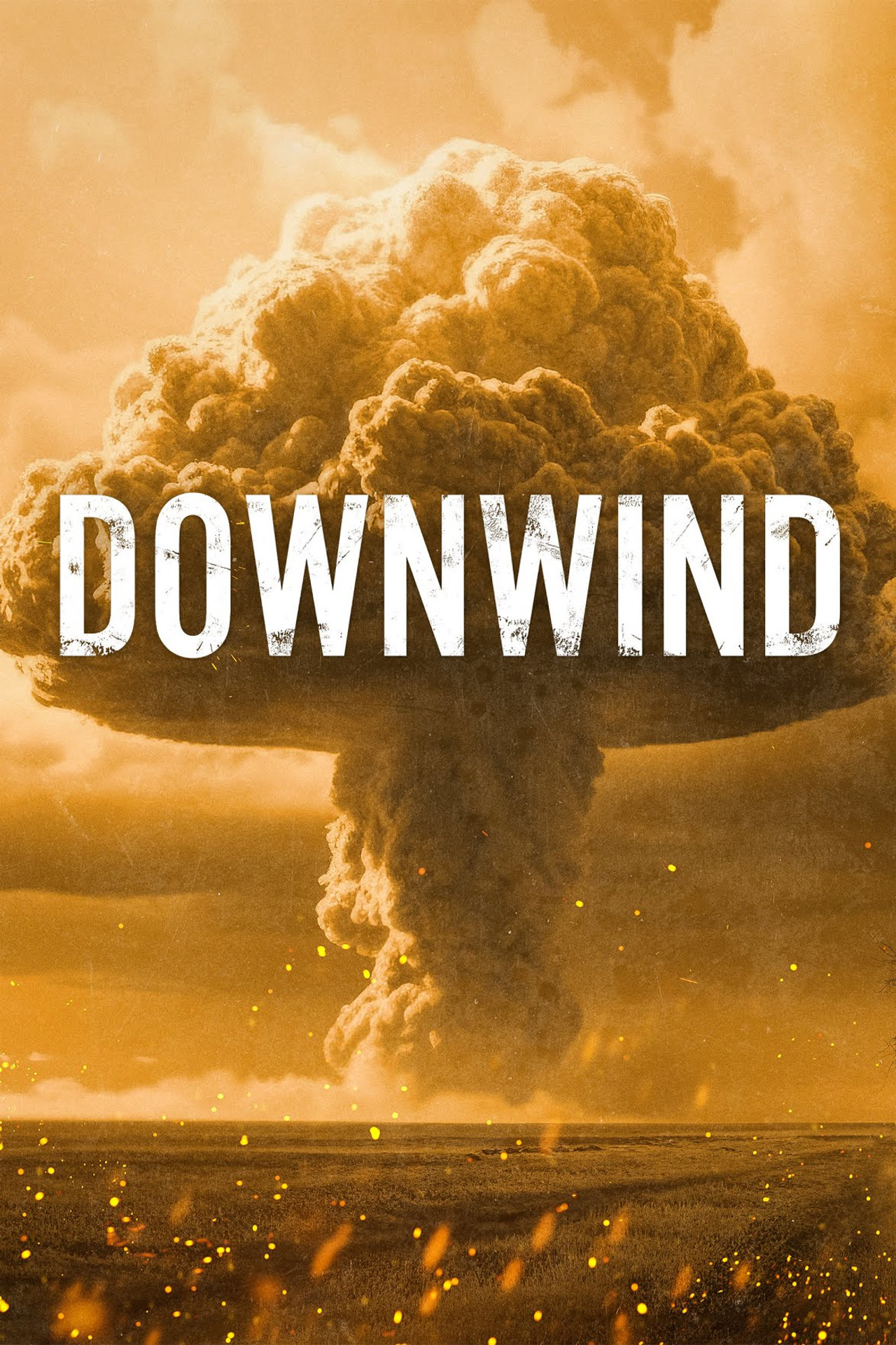 Pôster de Downwind