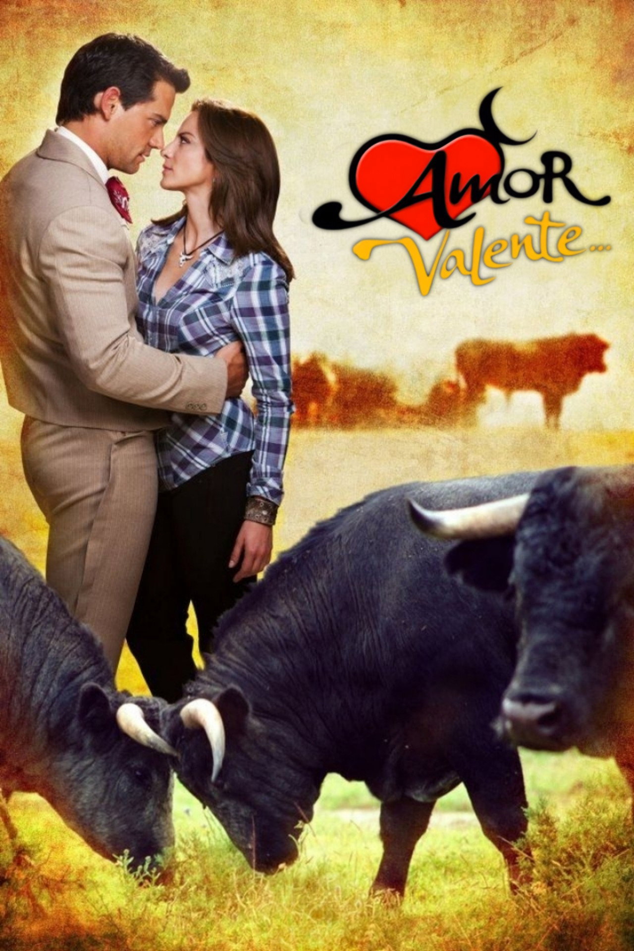 Pôster de Amor Valente
