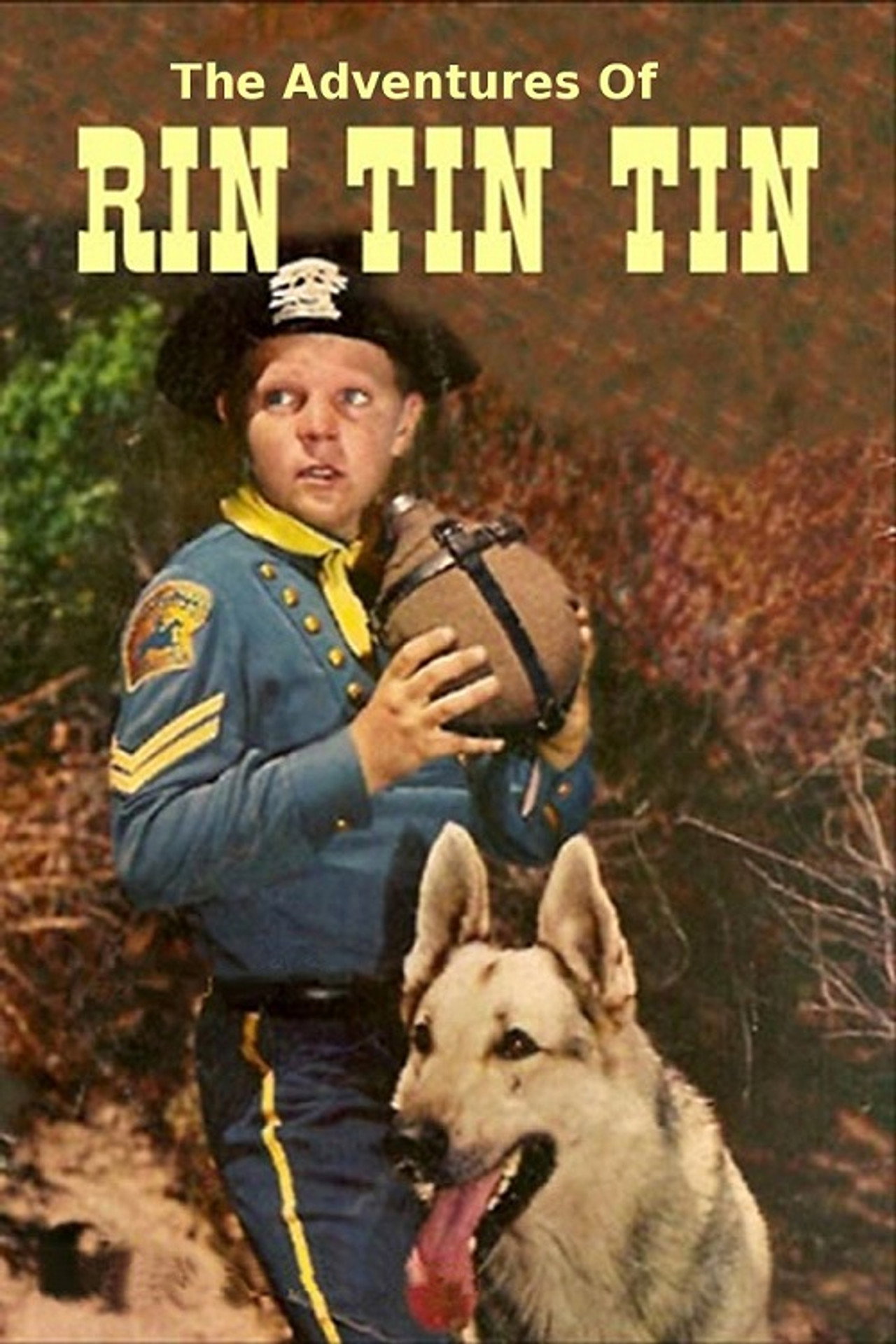 Pôster de The Adventures of Rin Tin Tin