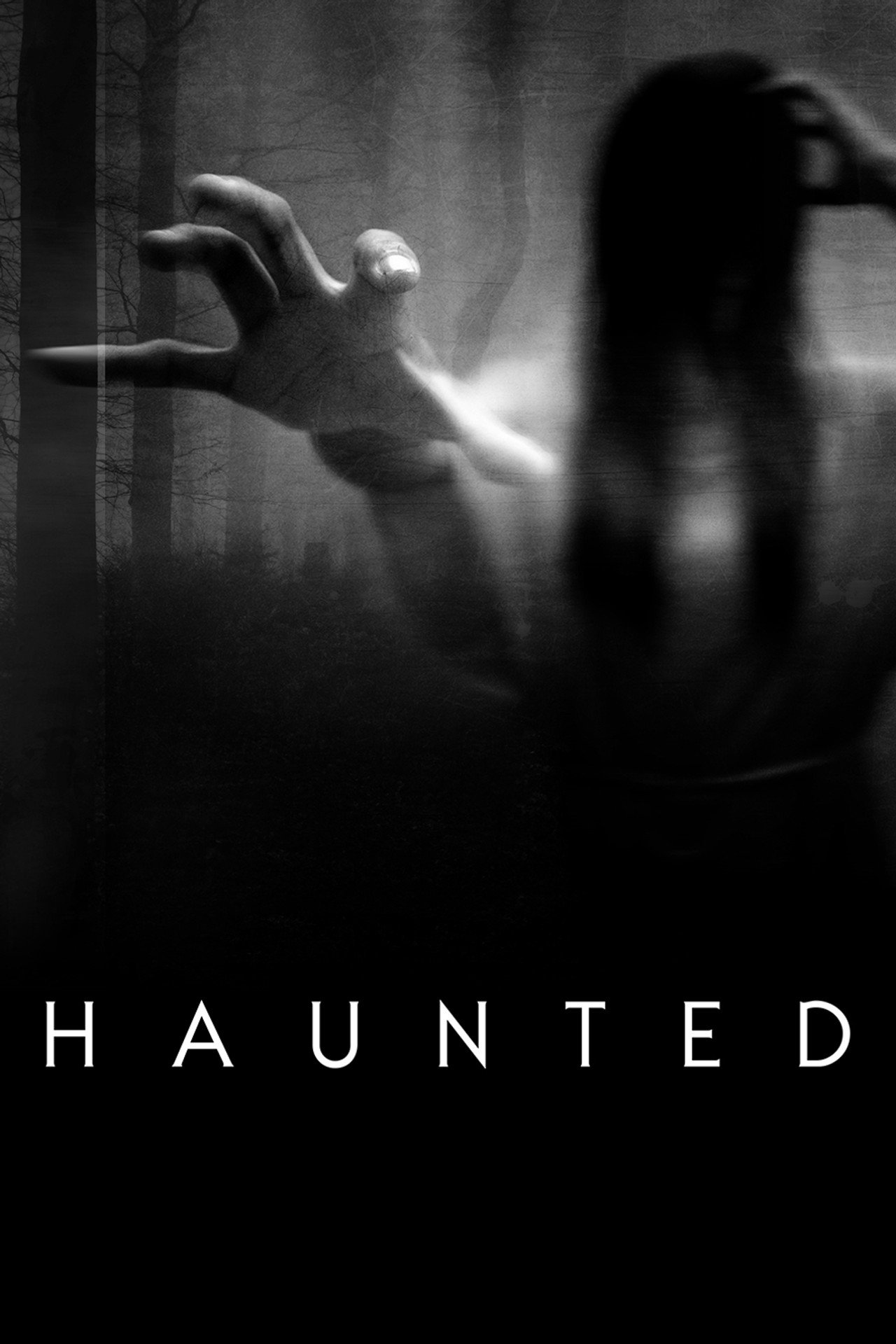 Pôster de Haunted