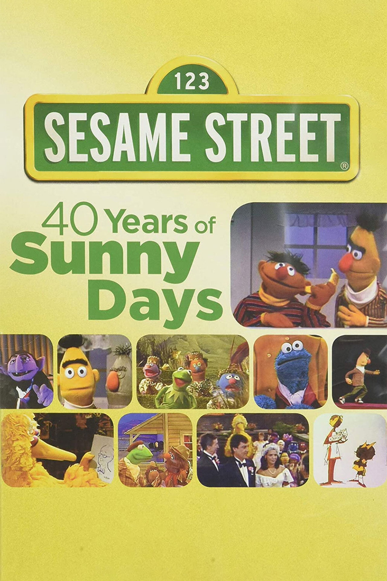 Pôster de Sesame Street: 40 Years of Sunny Days