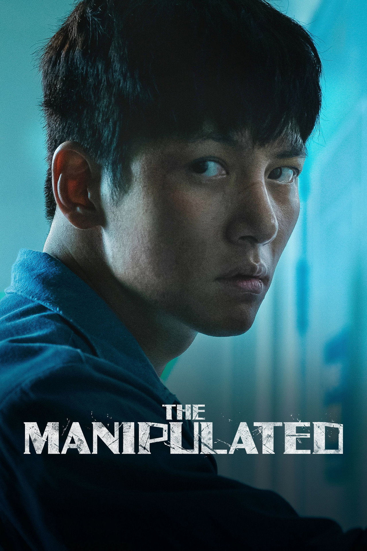 Pôster de The Manipulated