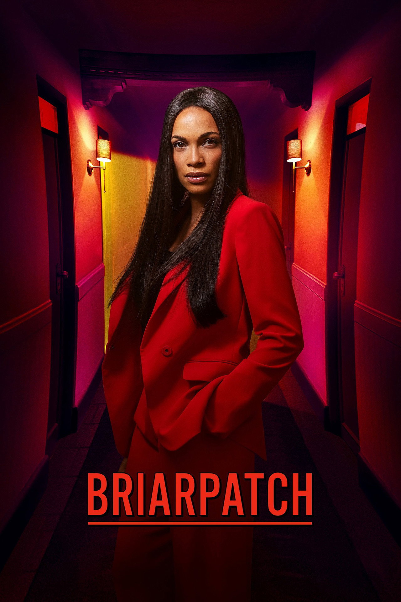 Pôster de Briarpatch
