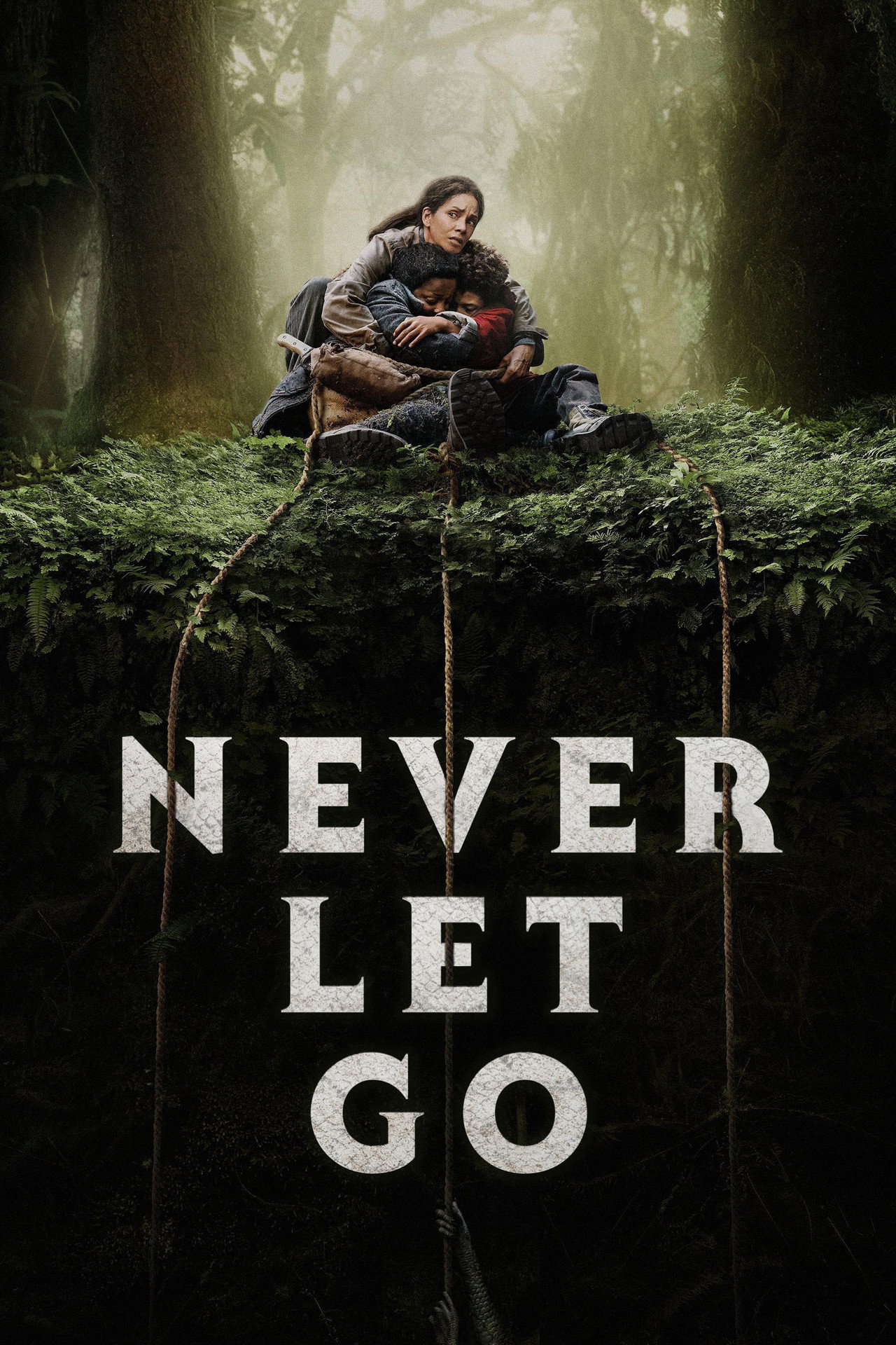 Pôster de Never Let Go
