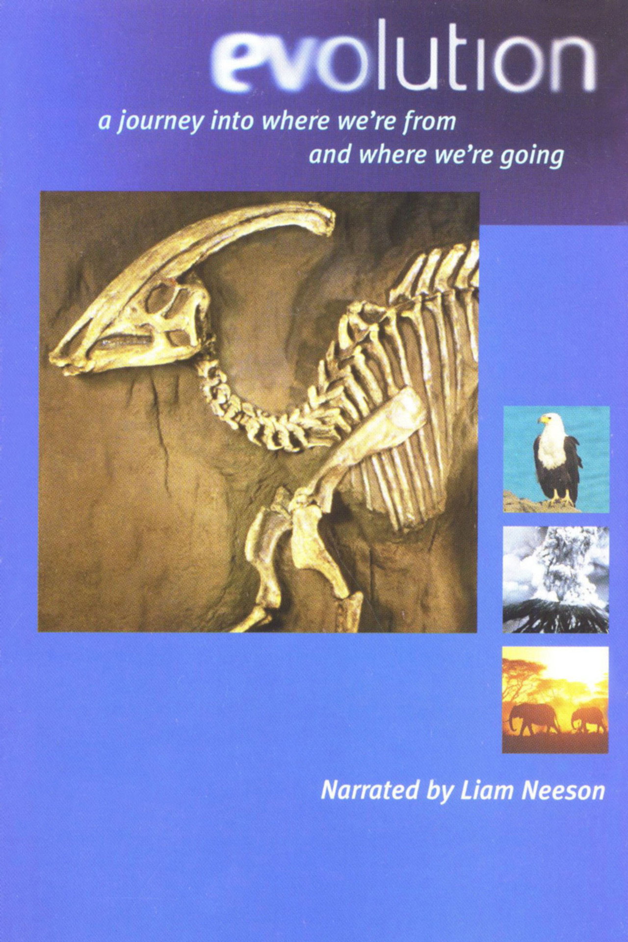 Pôster de Evolution - Darwin's Dangerous Idea