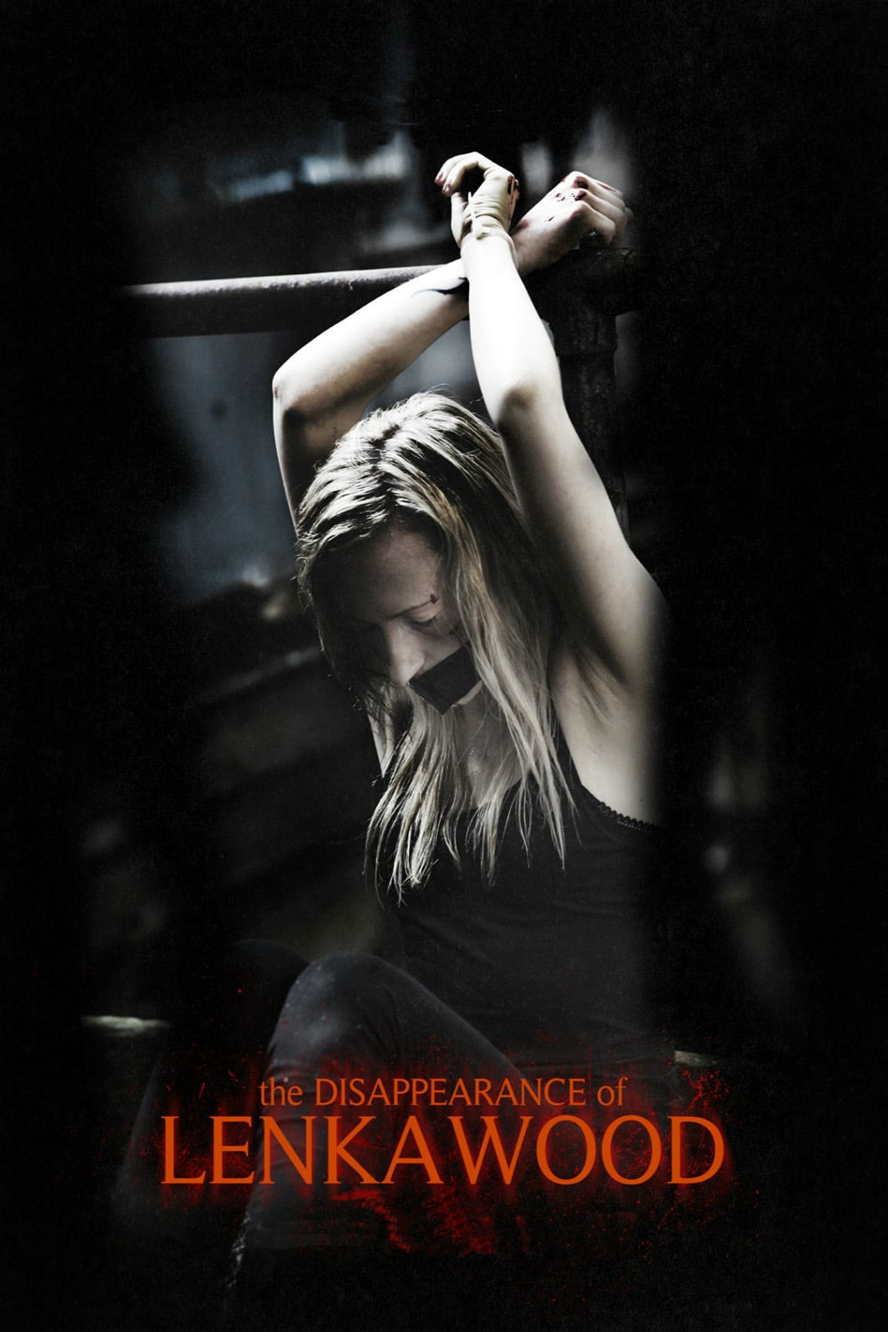 Pôster de The Disappearance Of Lenka Wood