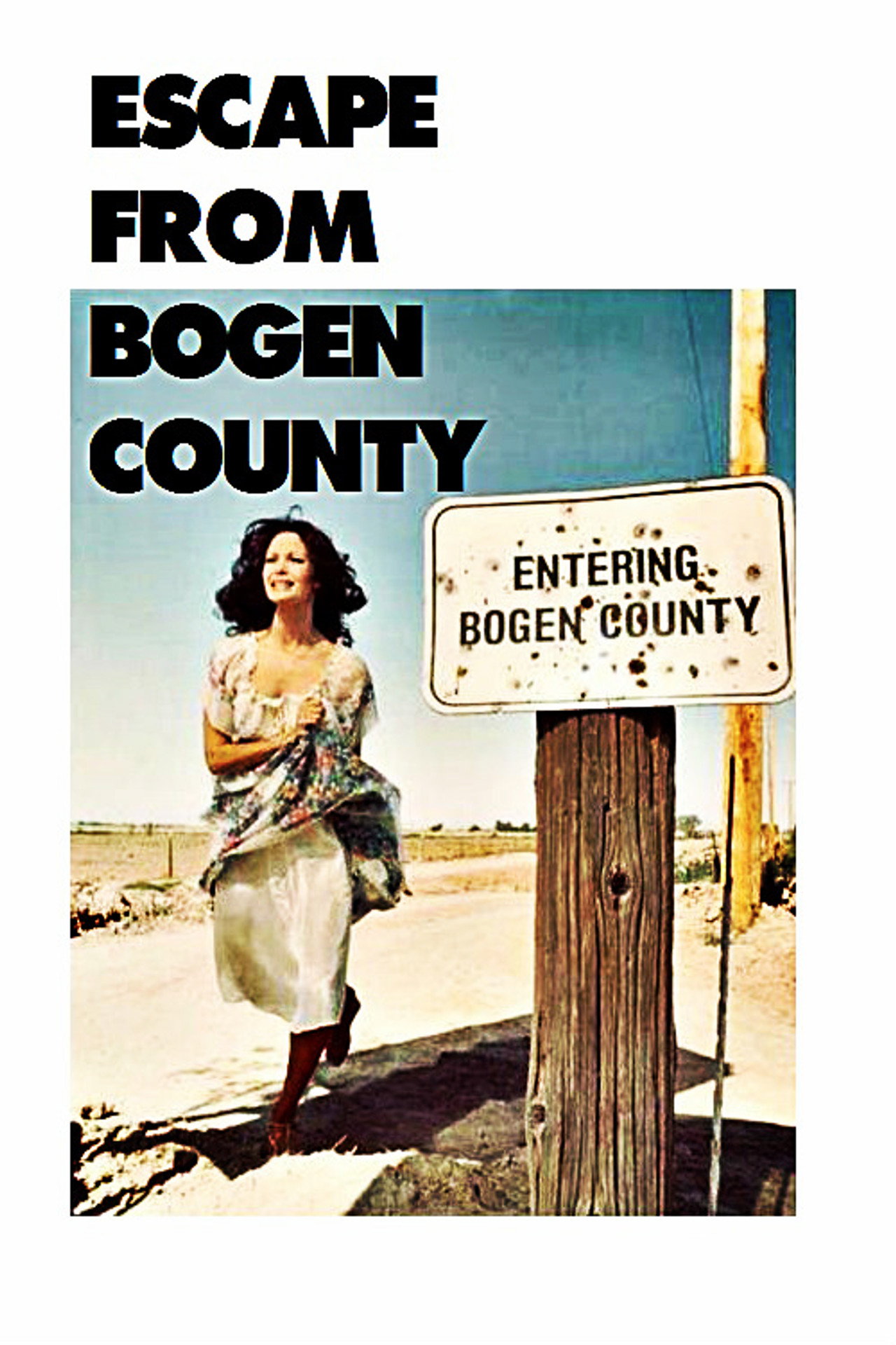 Pôster de Escape from Bogen County