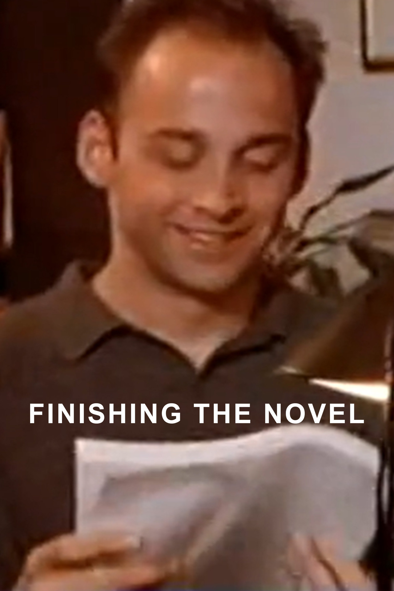 Pôster de Finishing The Novel