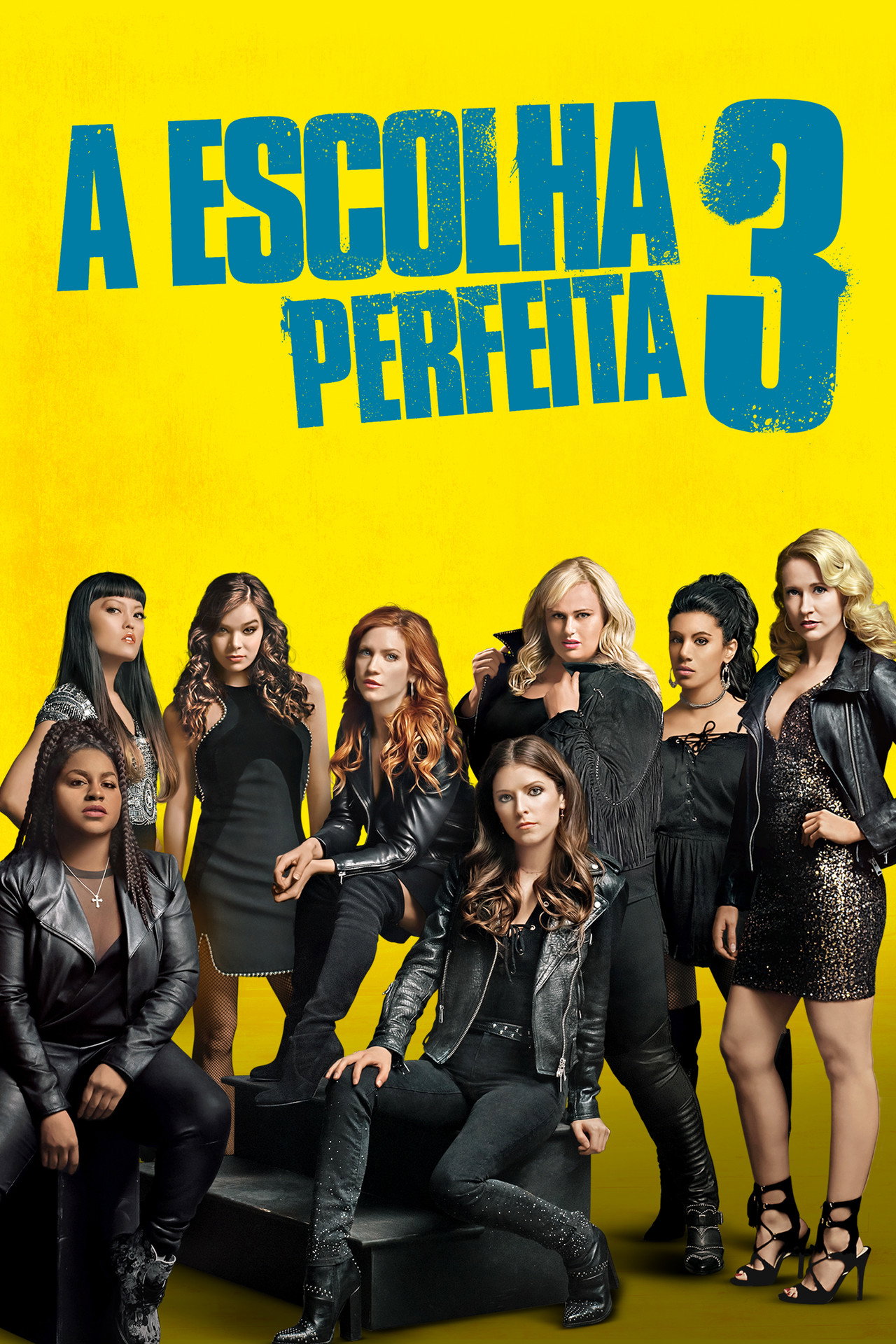 Pôster de A Escolha Perfeita 3