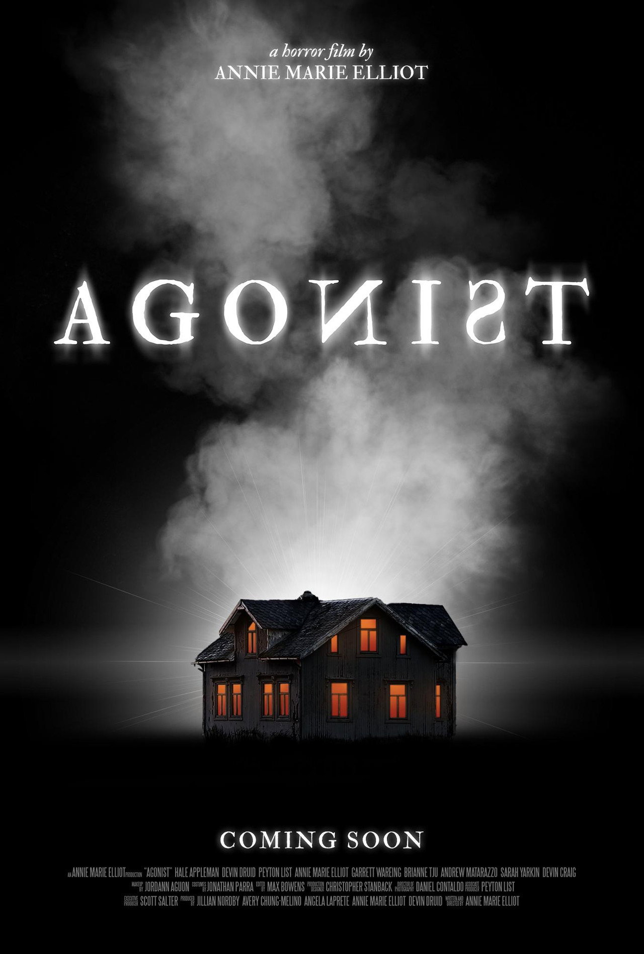 Pôster de Agonist
