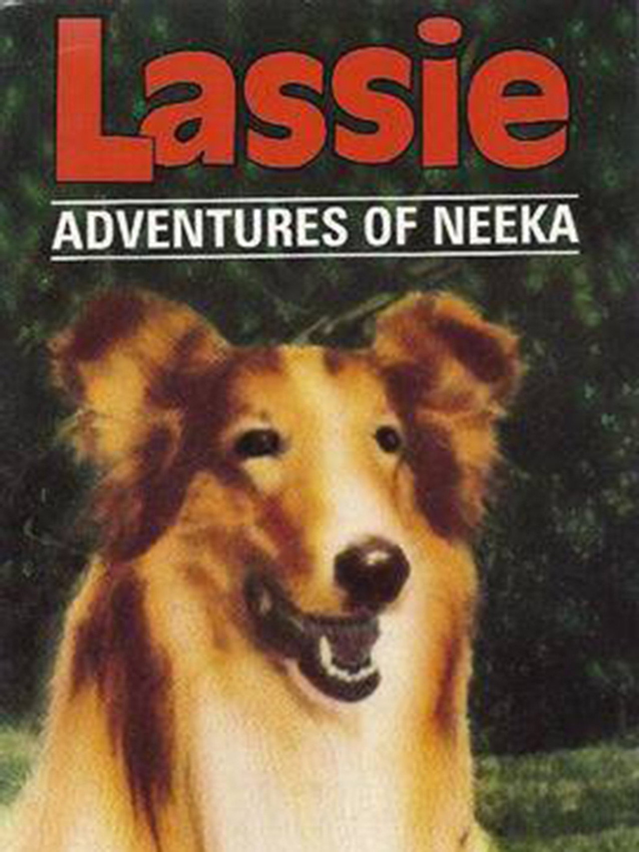 Pôster de Lassie: The Adventures of Neeka