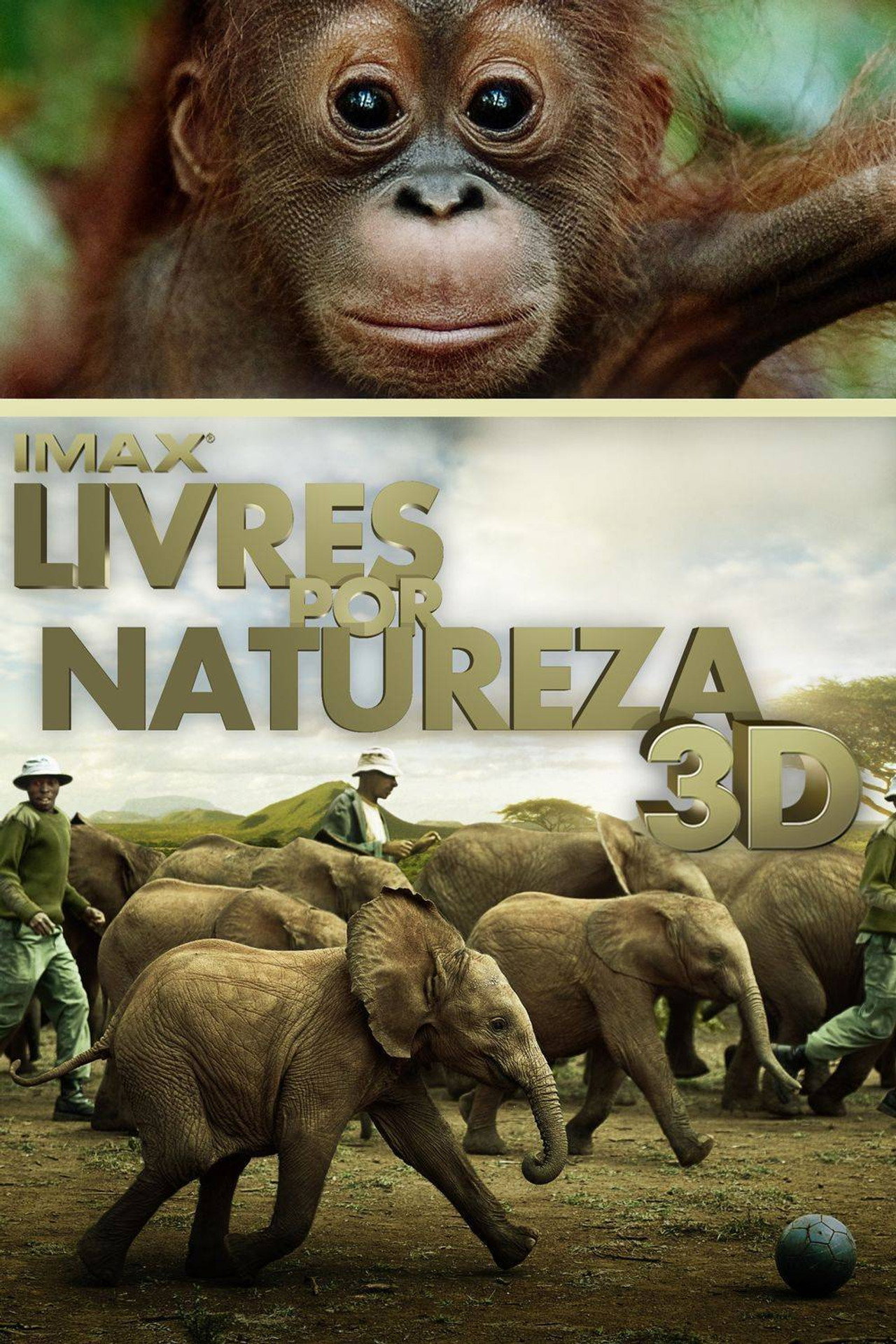 Pôster de Livres por Natureza