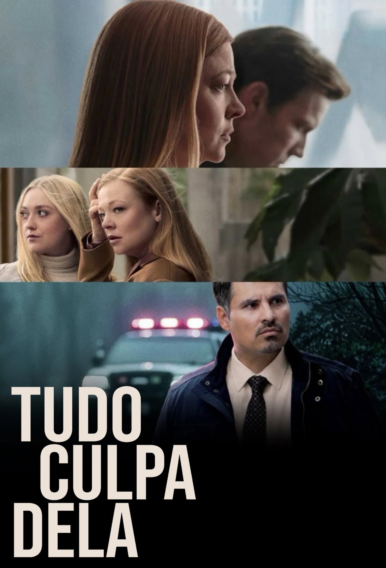 Pôster de Tudo Culpa Dela