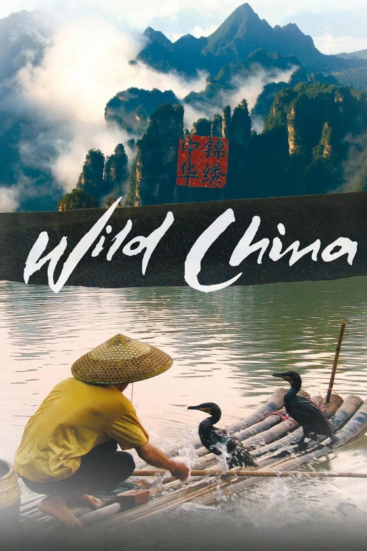 Pôster de Wild China