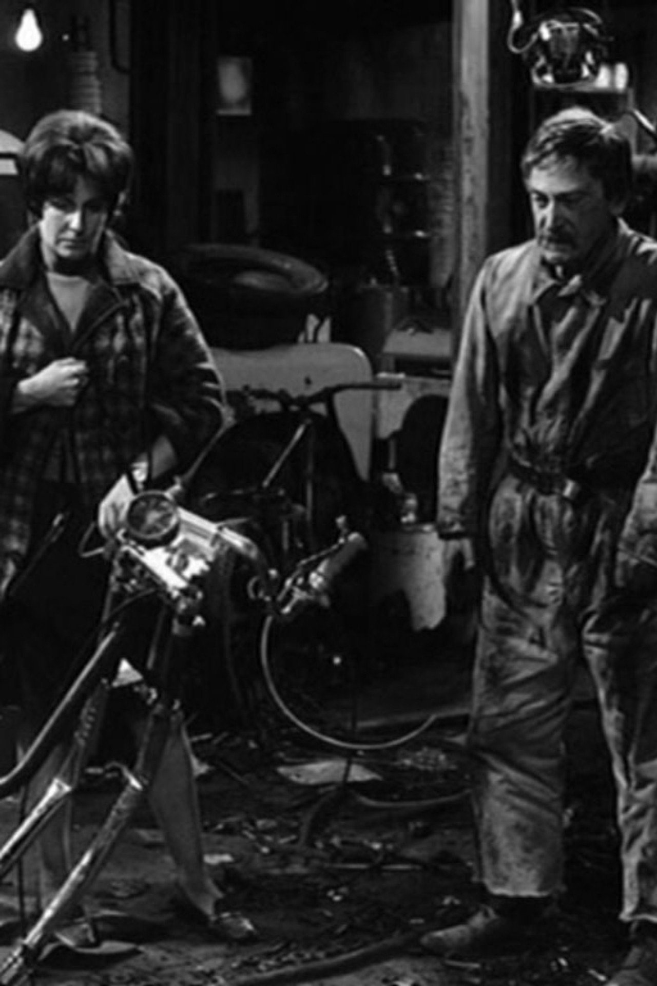 Pôster de The Chopper