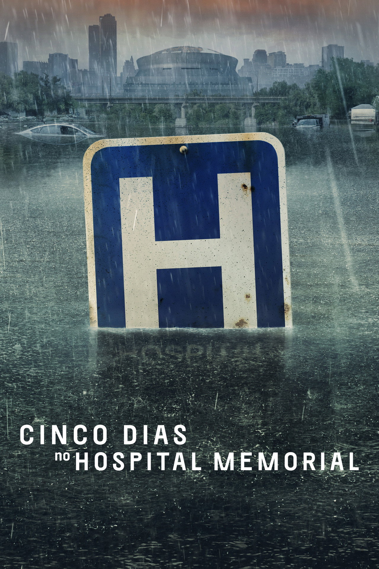 Pôster de Cinco Dias no Hospital Memorial