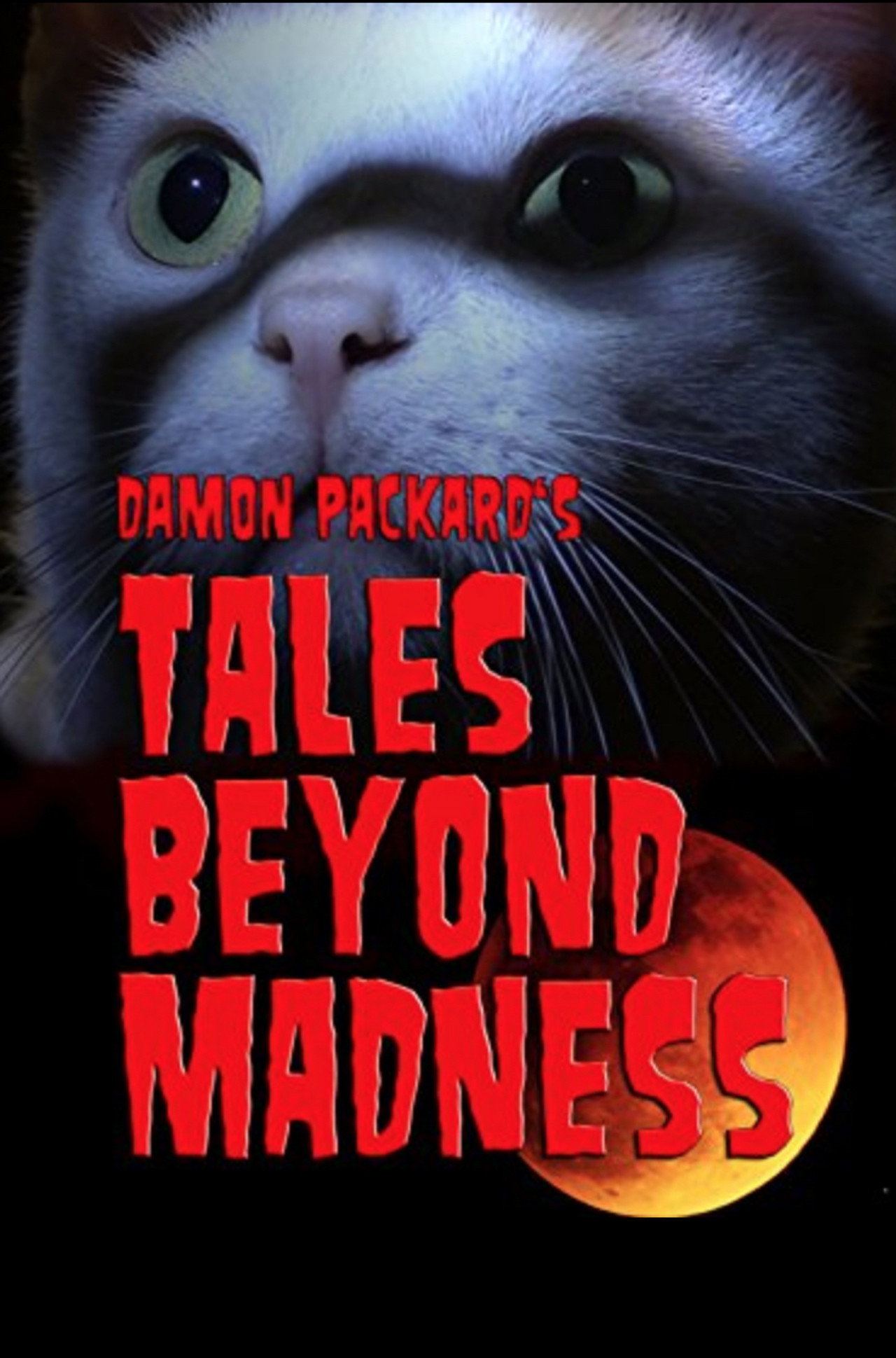 Pôster de Tales Beyond Madness