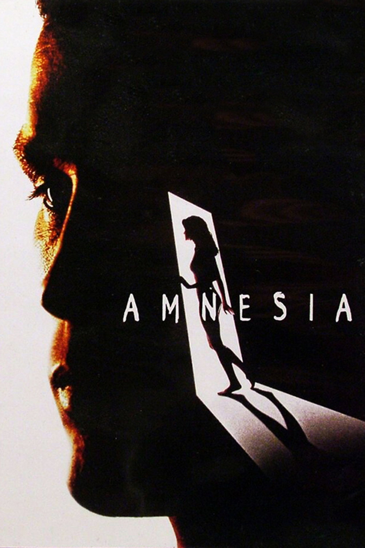 Pôster de Amnesia