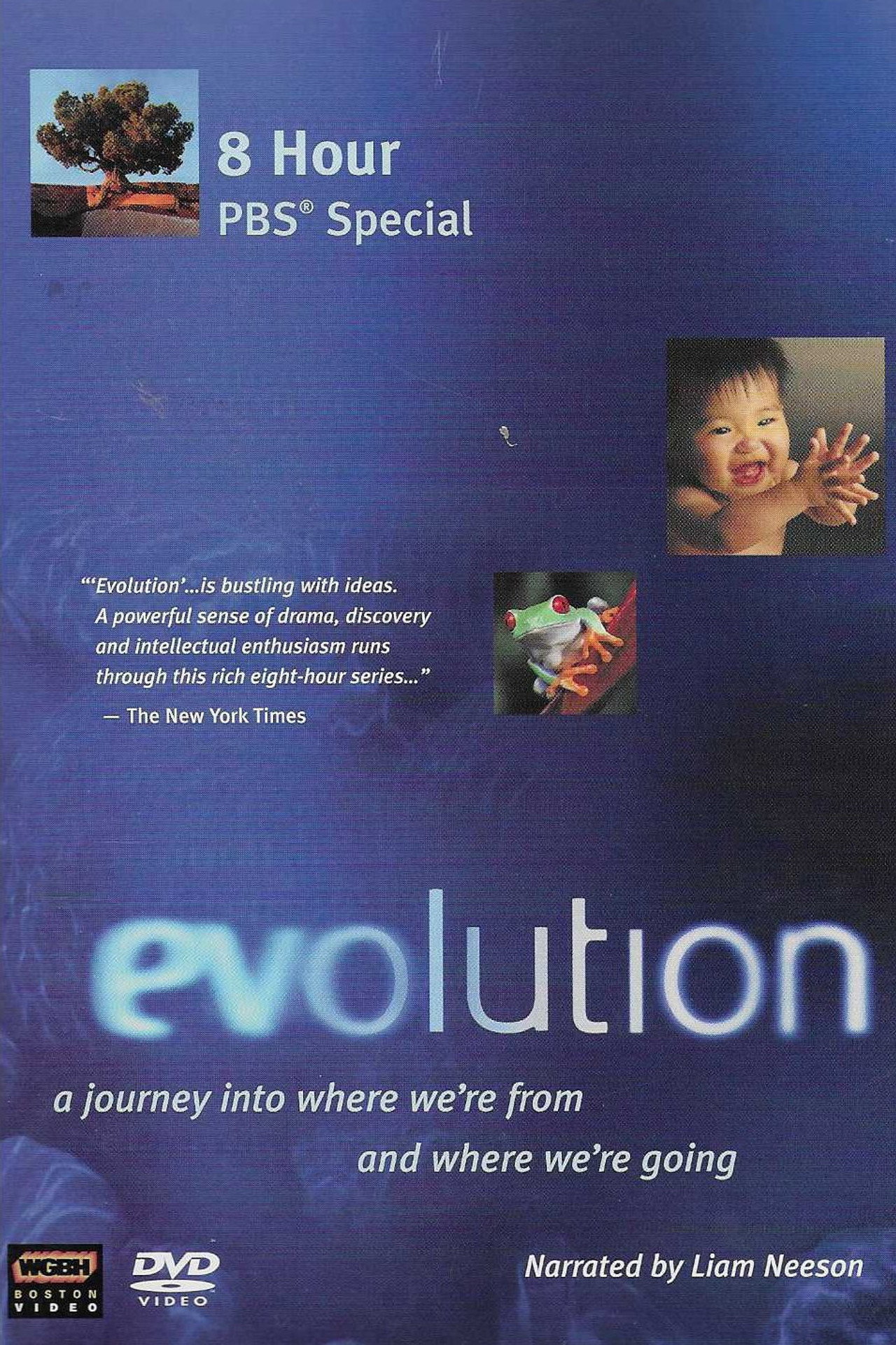 Pôster de Evolution
