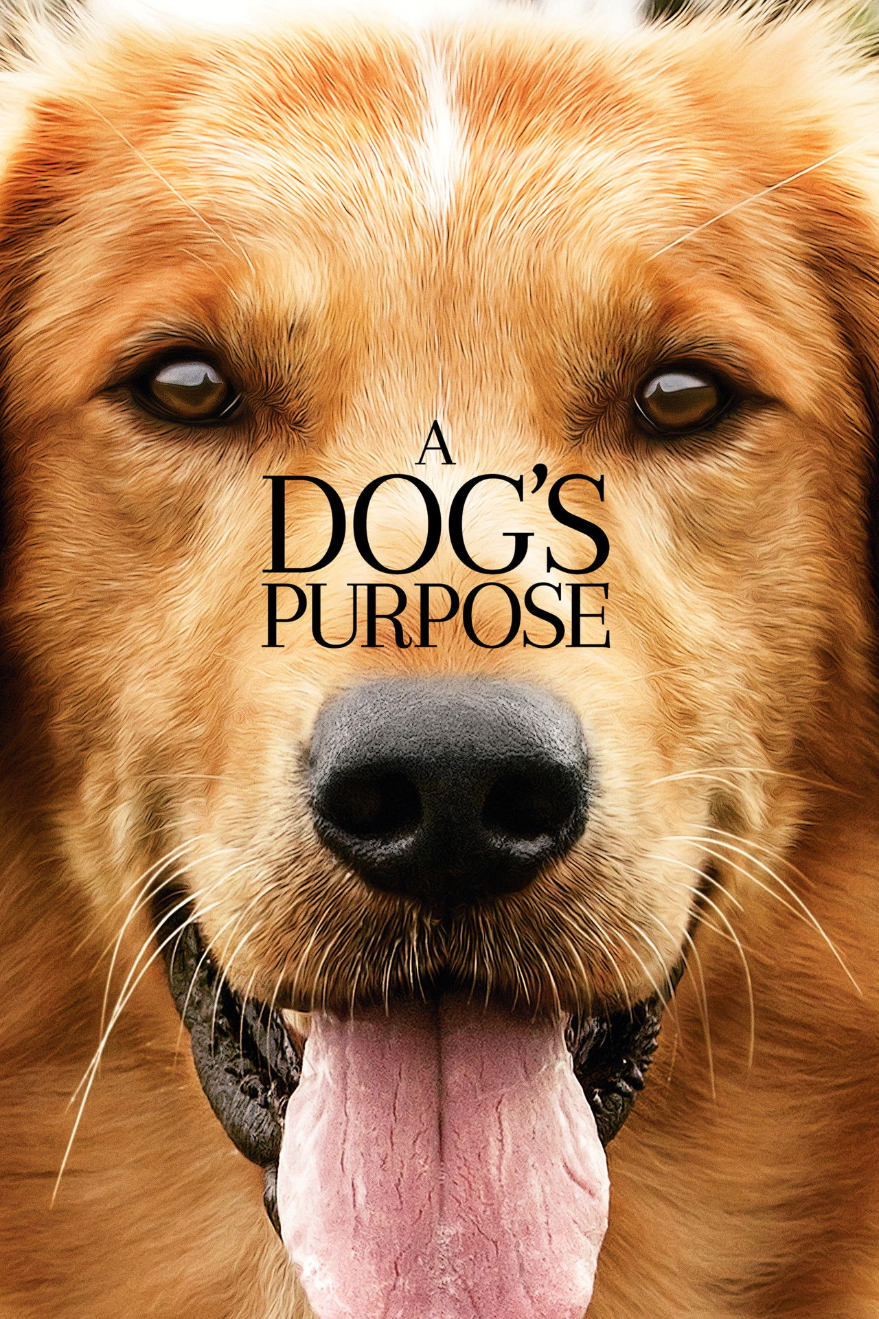 Pôster de A Dog's Purpose