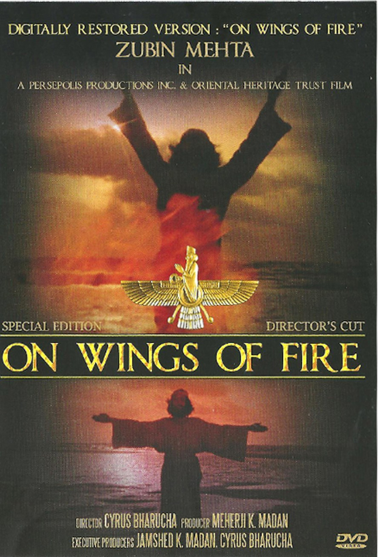 Pôster de On Wings of Fire