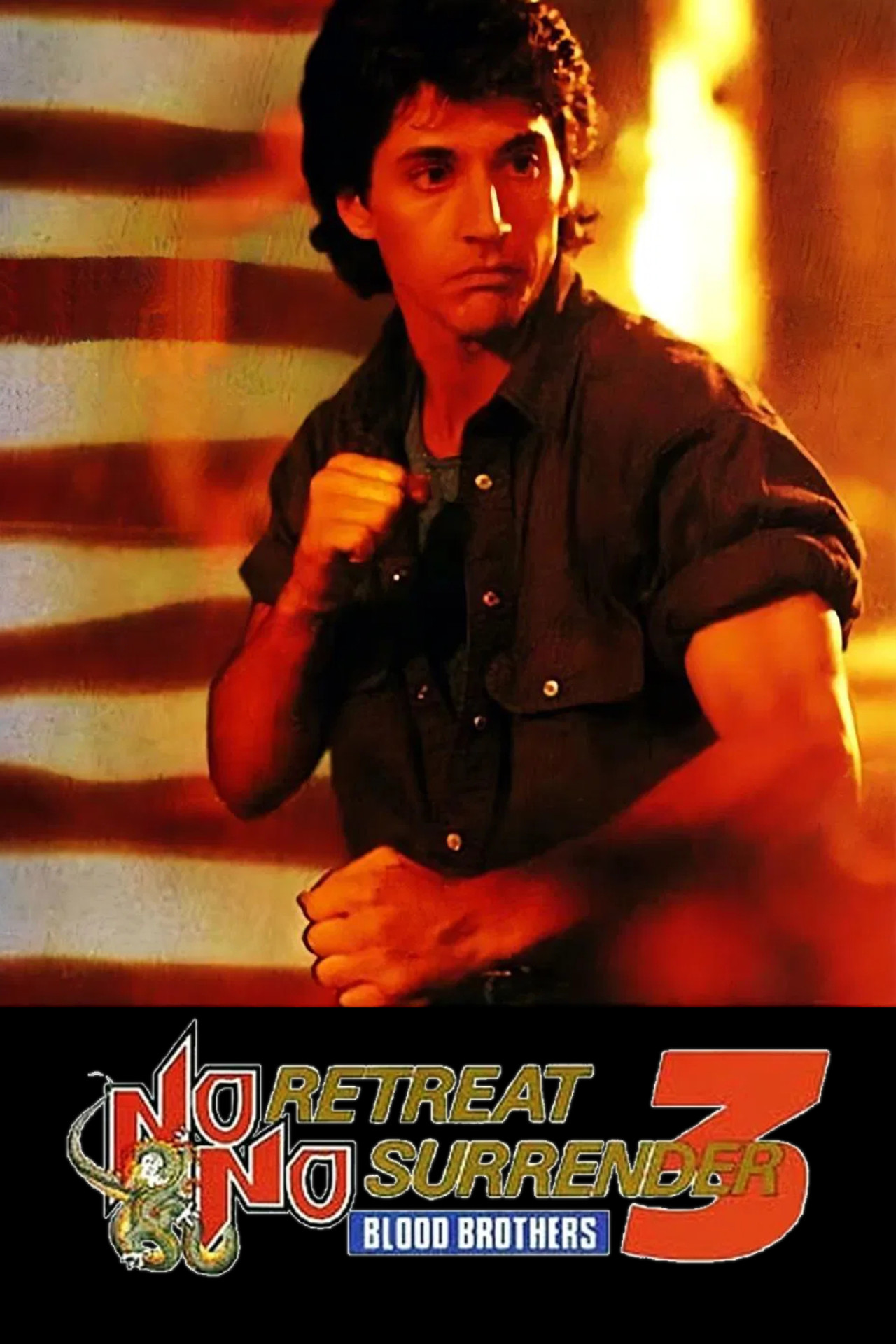 Pôster de No Retreat, No Surrender 3: Blood Brothers