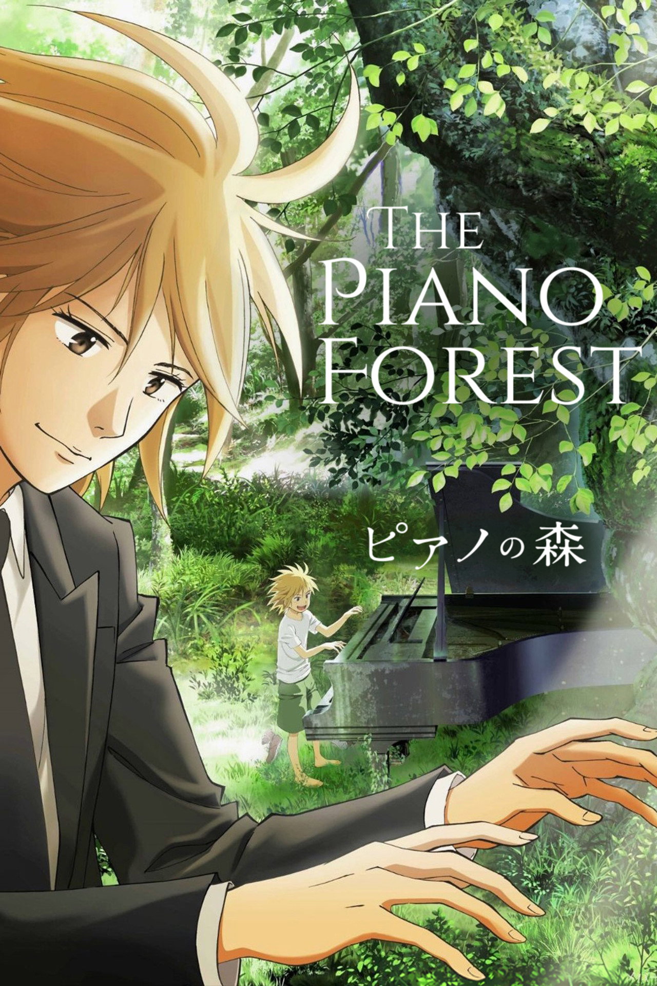 Pôster de Forest of Piano