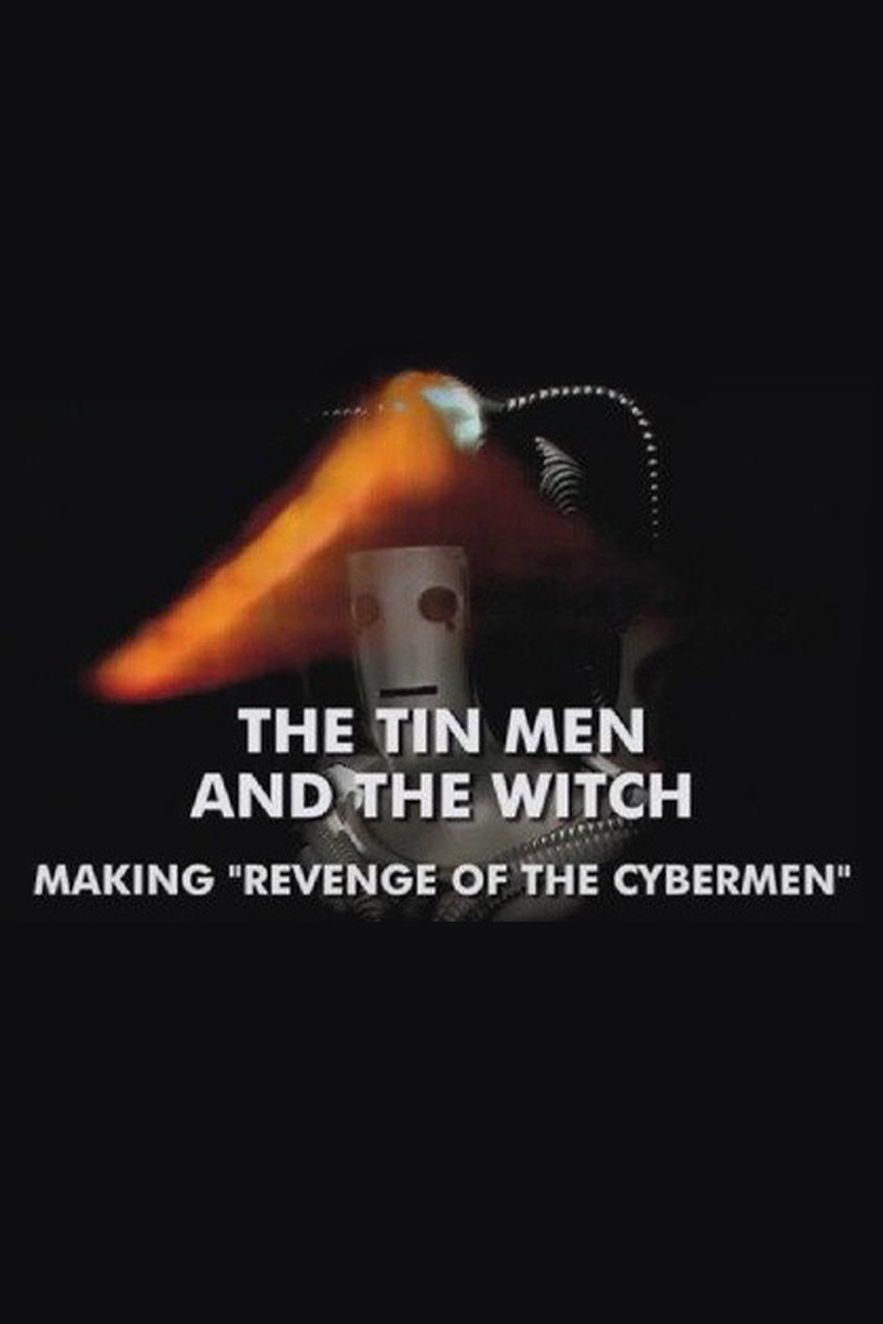 Pôster de The Tin Men and the Witch