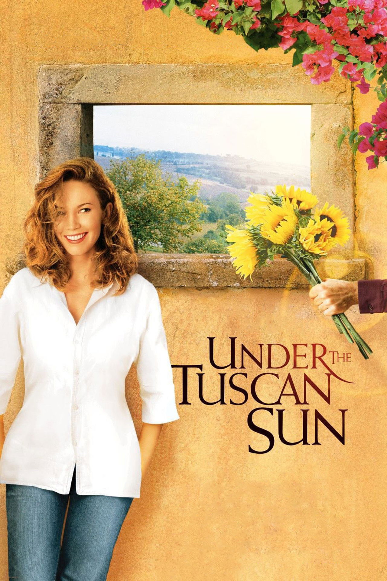 Pôster de Under the Tuscan Sun