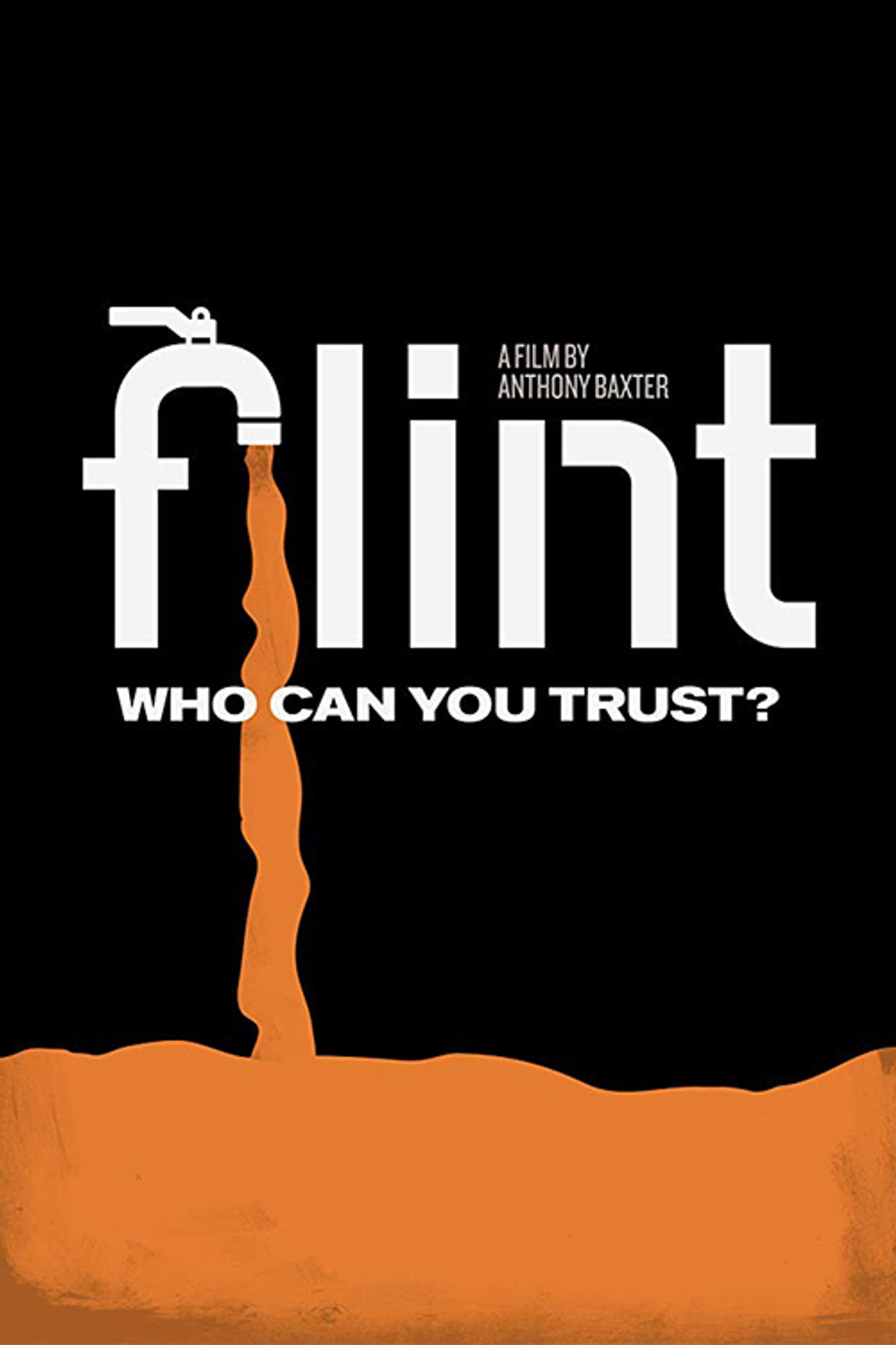 Pôster de Flint
