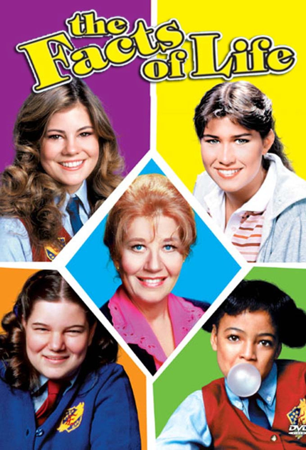 Pôster de The Facts of Life
