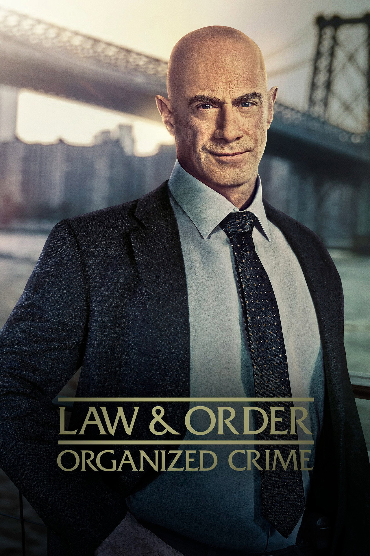 Pôster de Law & Order: Organized Crime