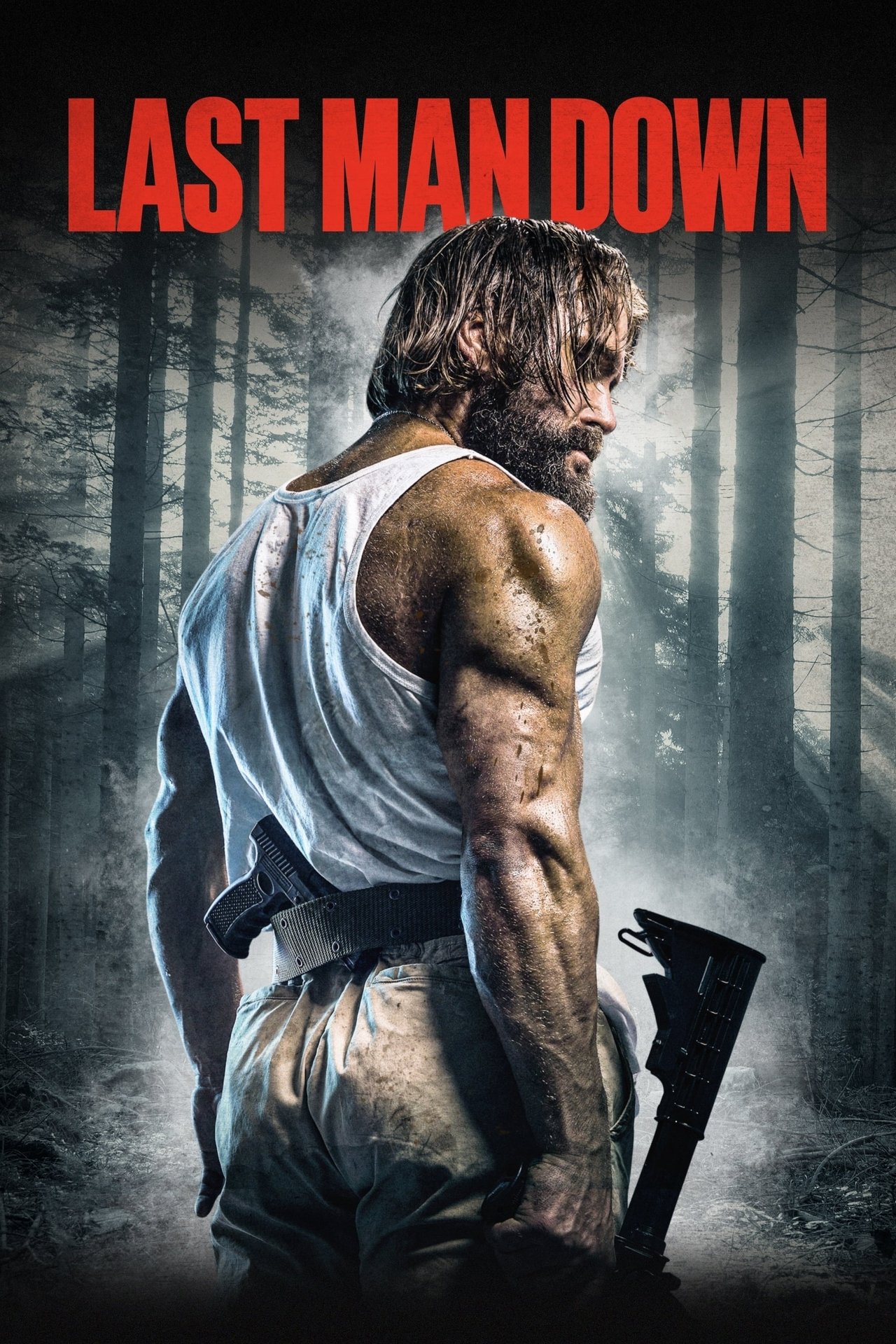 Pôster de Last Man Down