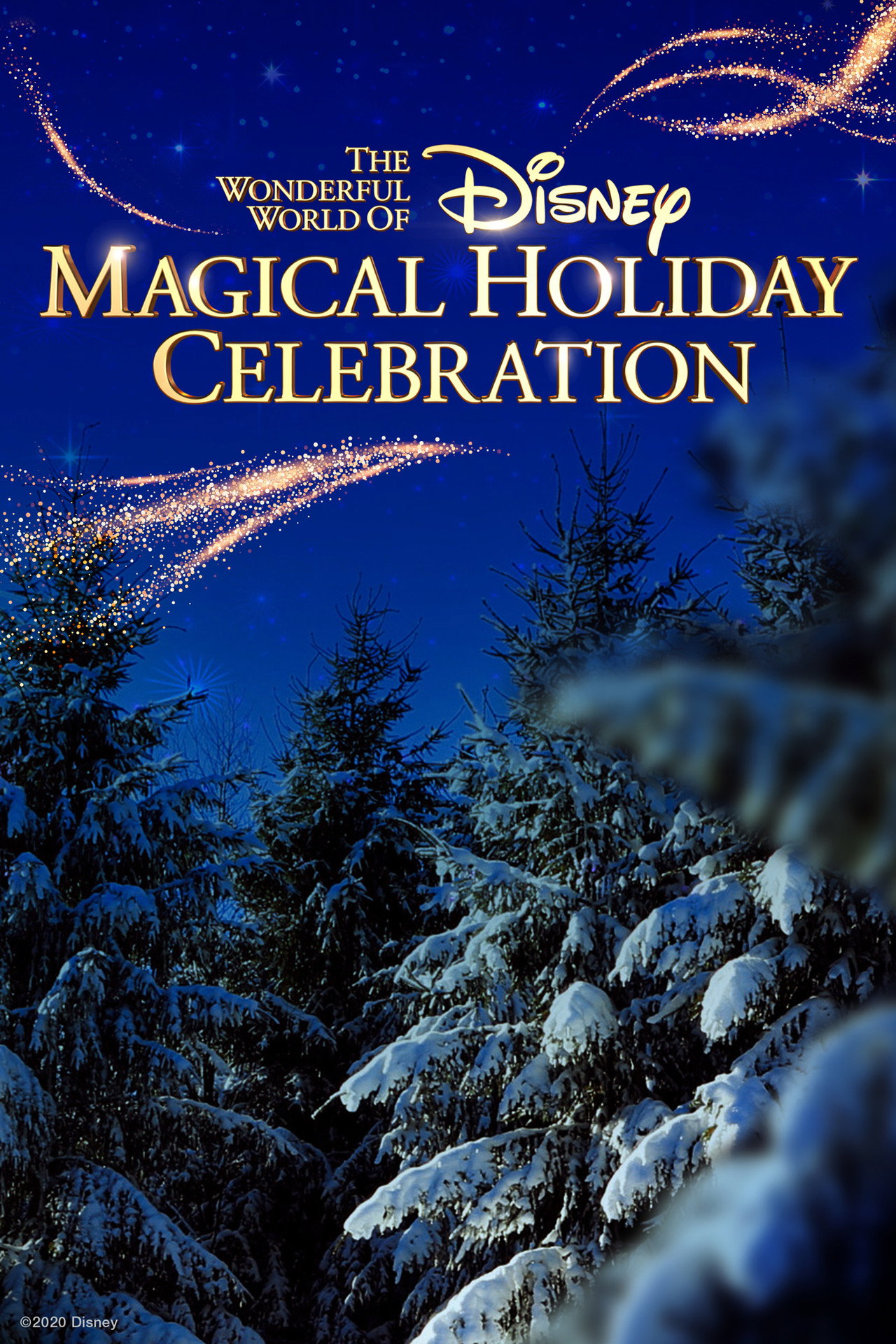 Pôster de The Wonderful World of Disney: Magical Holiday Celebration